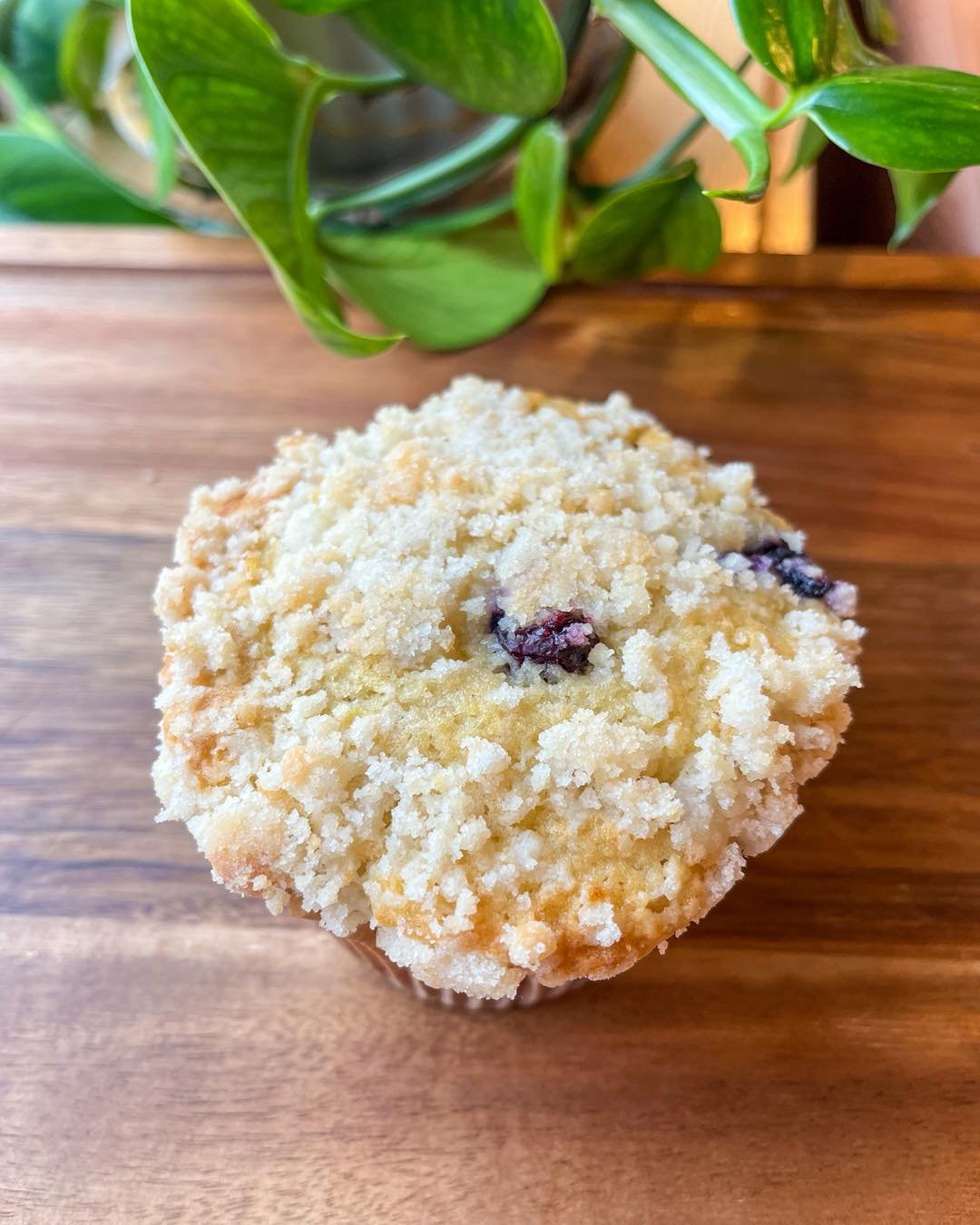 Happy Thursday! 
Our Case is full of delicious goodies!!!
We have:
&bull;Double Chocolate Banana Muffins
&bull;Strawberry Lemonade Cookies
&bull;Oatmeal Chocolate Chip Cookies
&bull;Raspberry Sweet Rolls
&bull;Chocolate and Vanilla Cupcakes
&bull;Bla