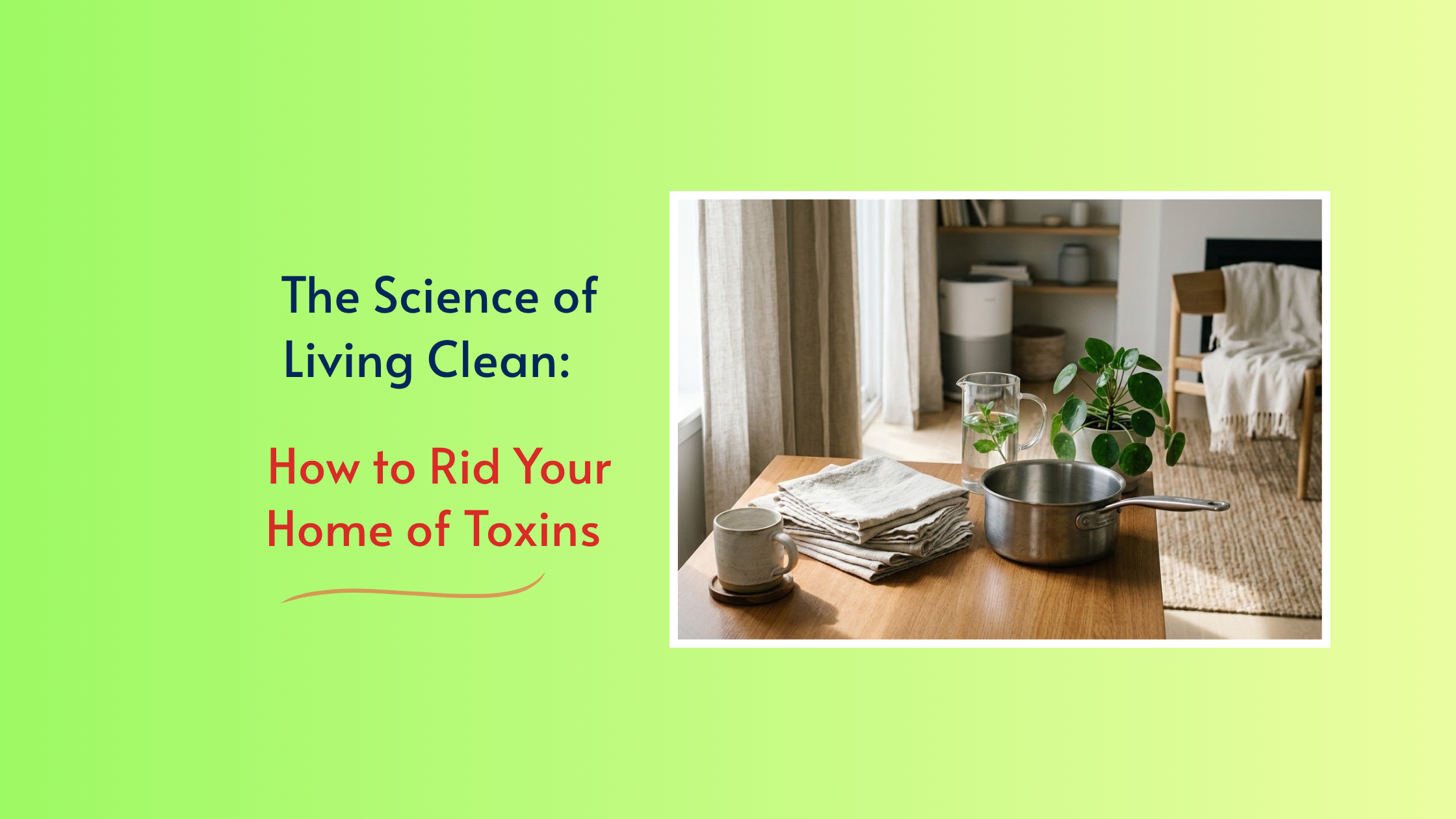 The Science of Living Clean: How to Rid Your Home of Toxins