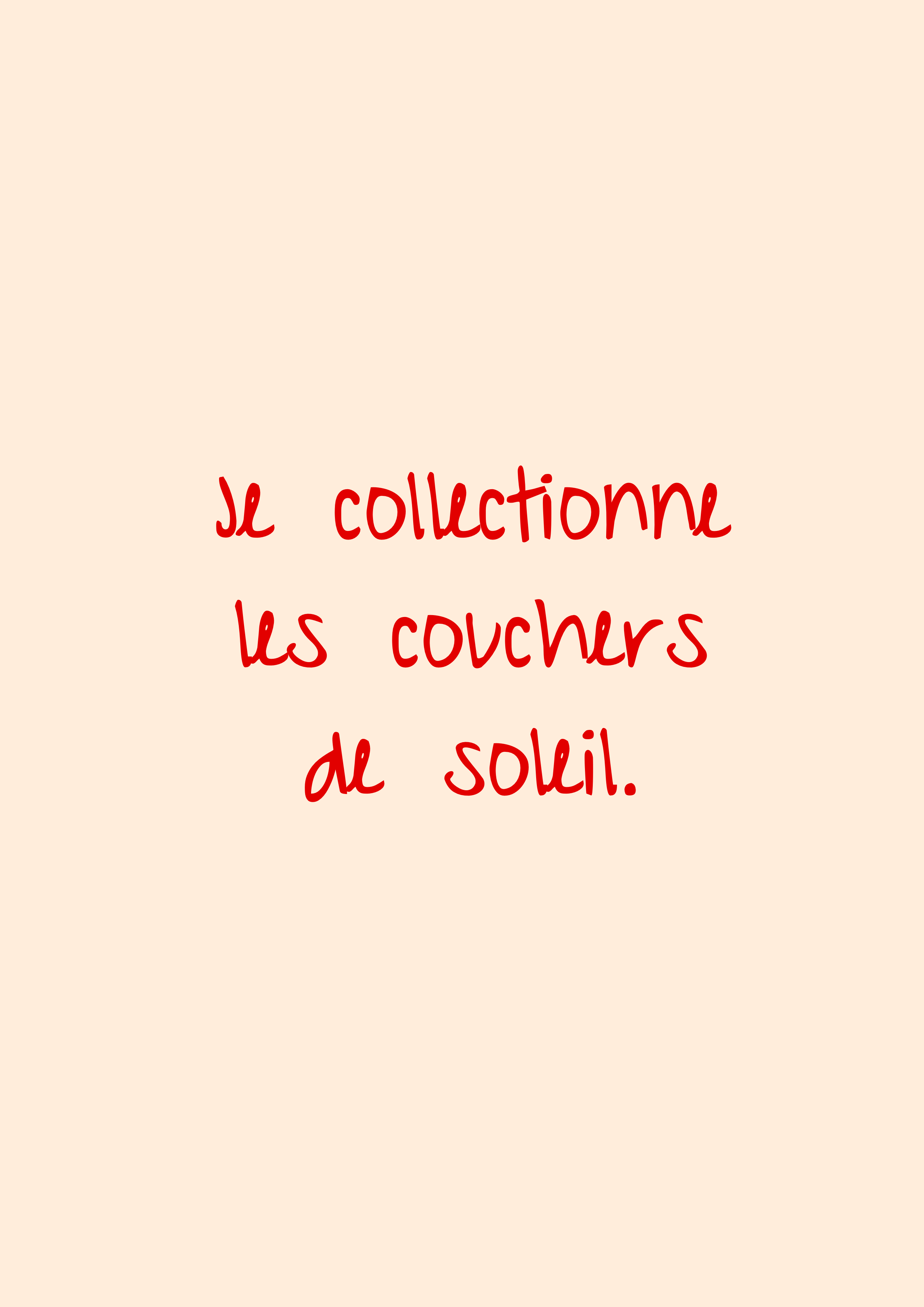 LE COLLECTIONNEUR