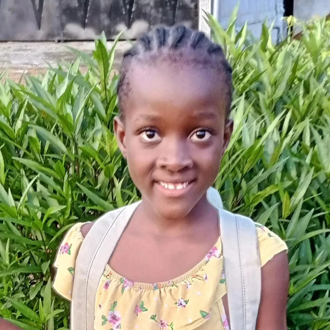 Kwenah%252C%2BTaylor.jpg