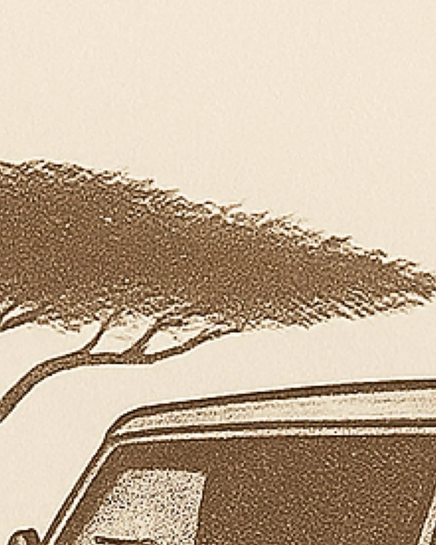 #luxurysafari #foratravel #africatravelagents #fieldtravel #sociallyresponsibletravel #foraadvisor