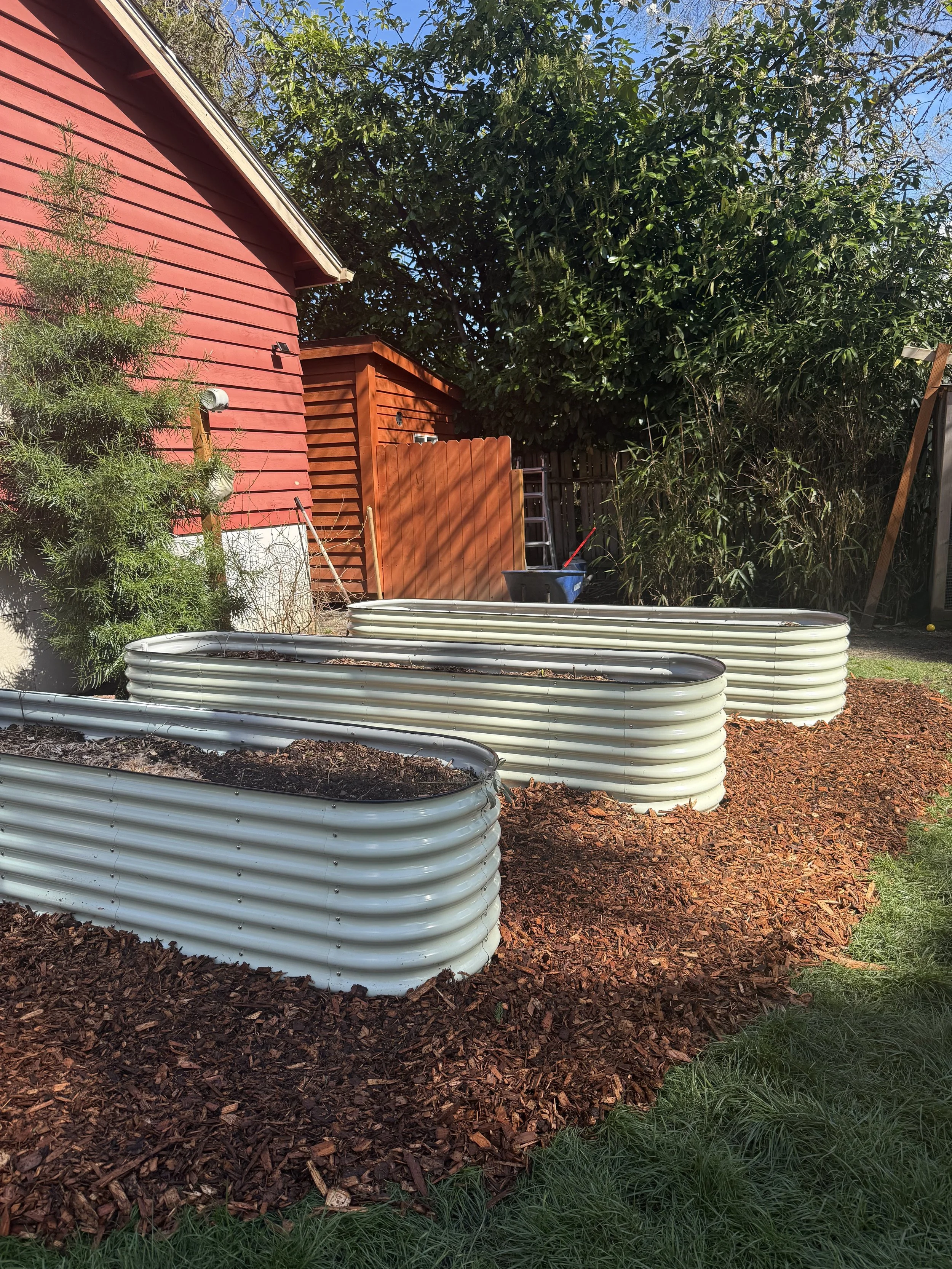The Raised Bed Swap: Why I traded wood for metal