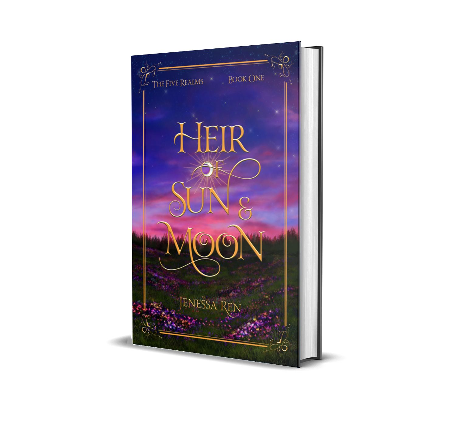 HOSAM hardcover.png