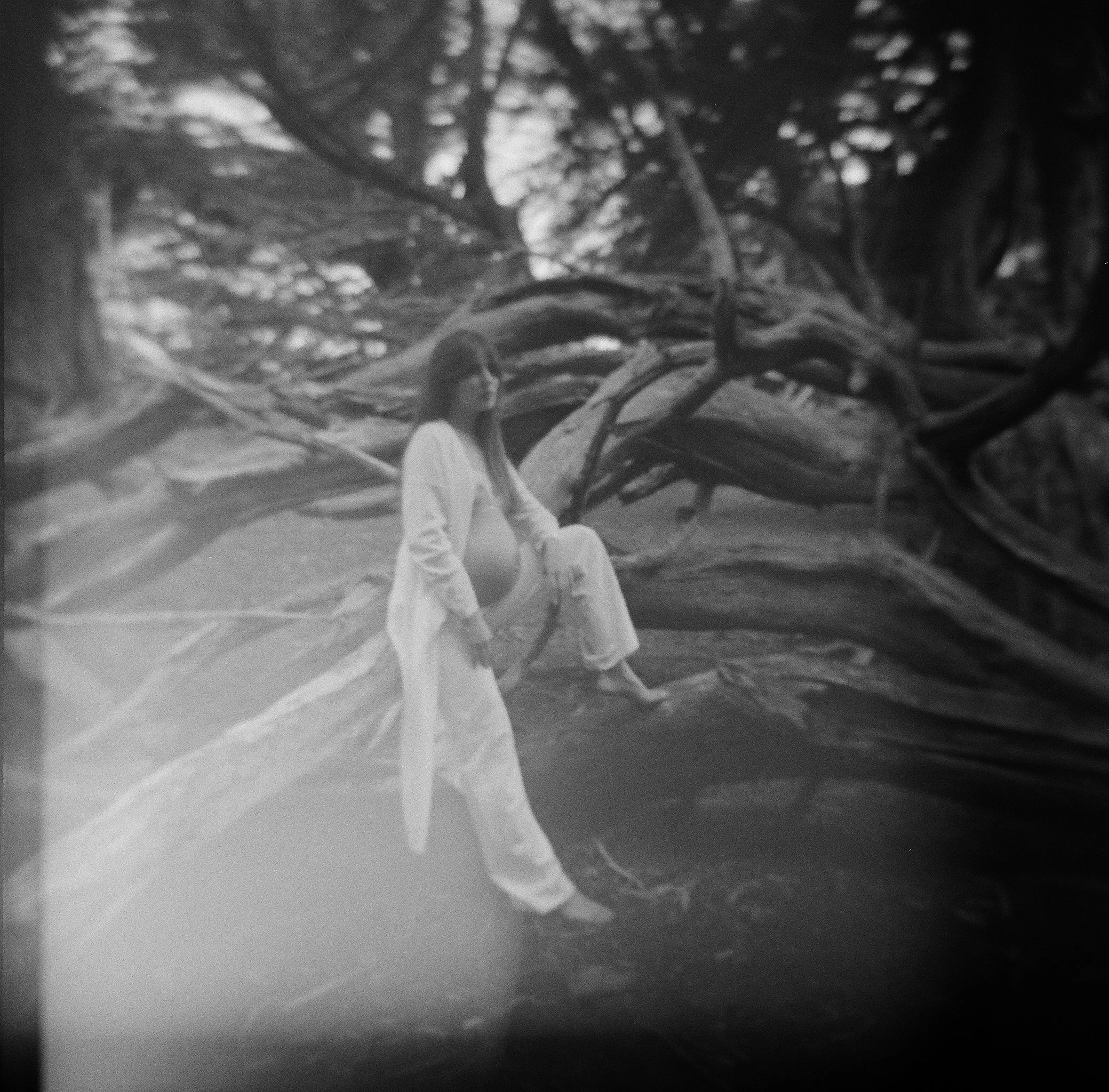 Pregnant woman in white sitting in ancient cypress tree roots, film maternity portrait — Radostina Boseva San Francisco