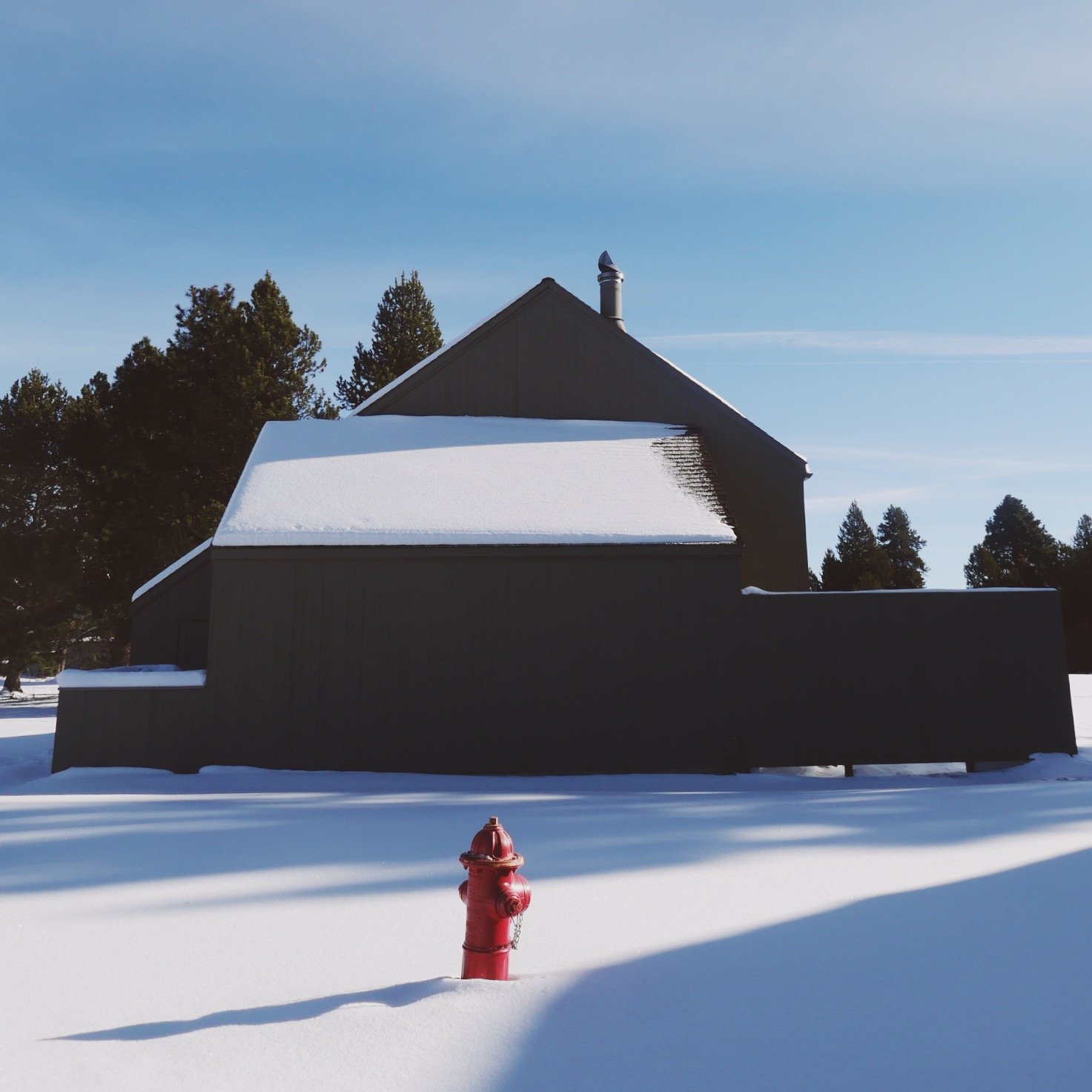 A black building with a snow-covered roof and a chimney, surrounded by snow and trees in the background, with a red fire hydrant in the foreground.