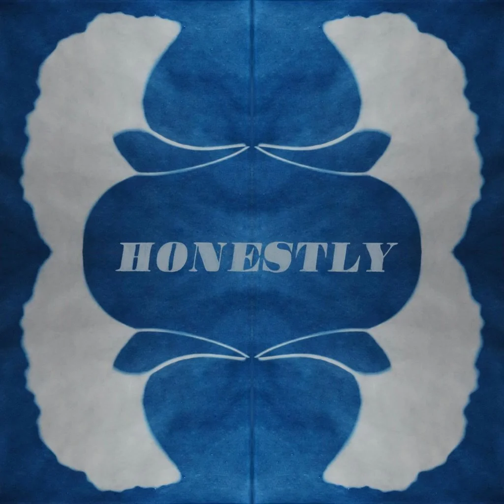 A symmetrical blue and white paper with the word 'HONESTLY' written in the center. The design resembles a butterfly or a floral pattern.