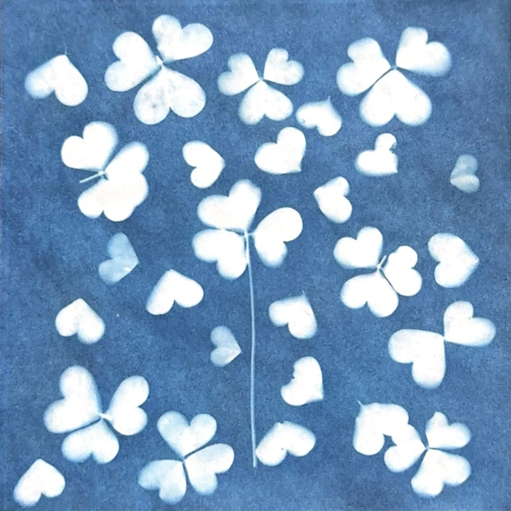 White paper cutouts of heart-shaped and four-leaf clover-shaped shapes scattered on a dark blue background.