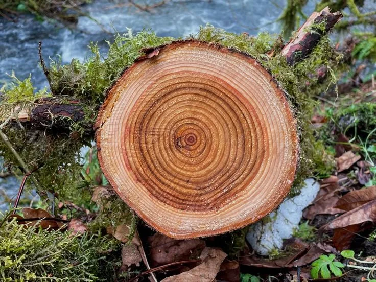 Small Steps Create Big Shifts