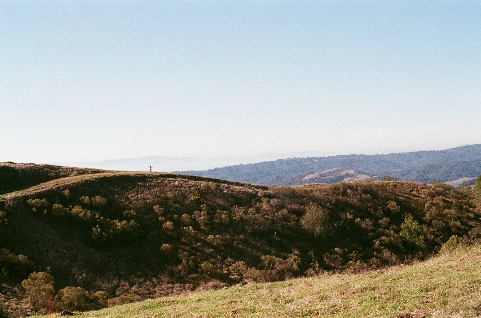 Make Room for Growth