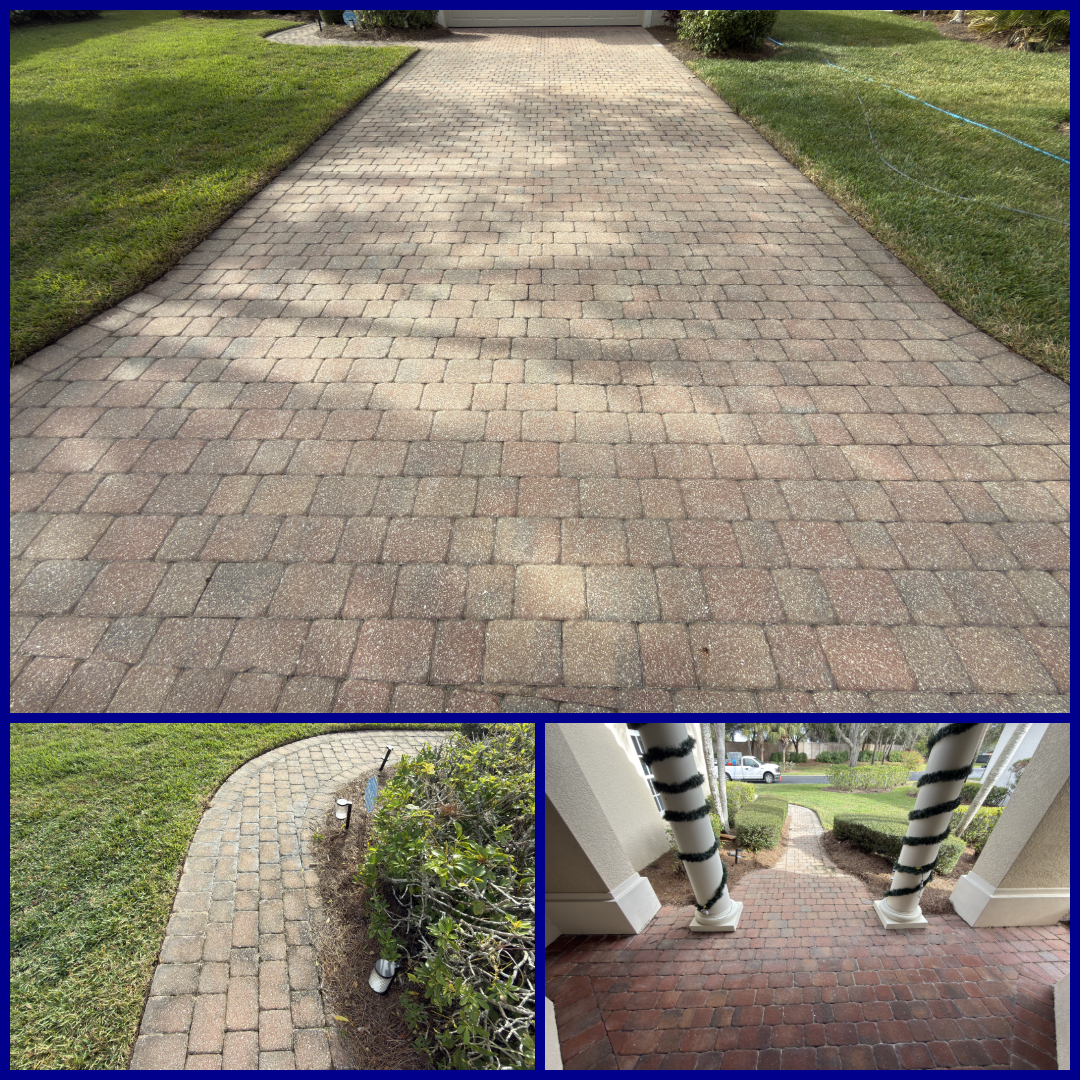 photo-collage.png (1).png