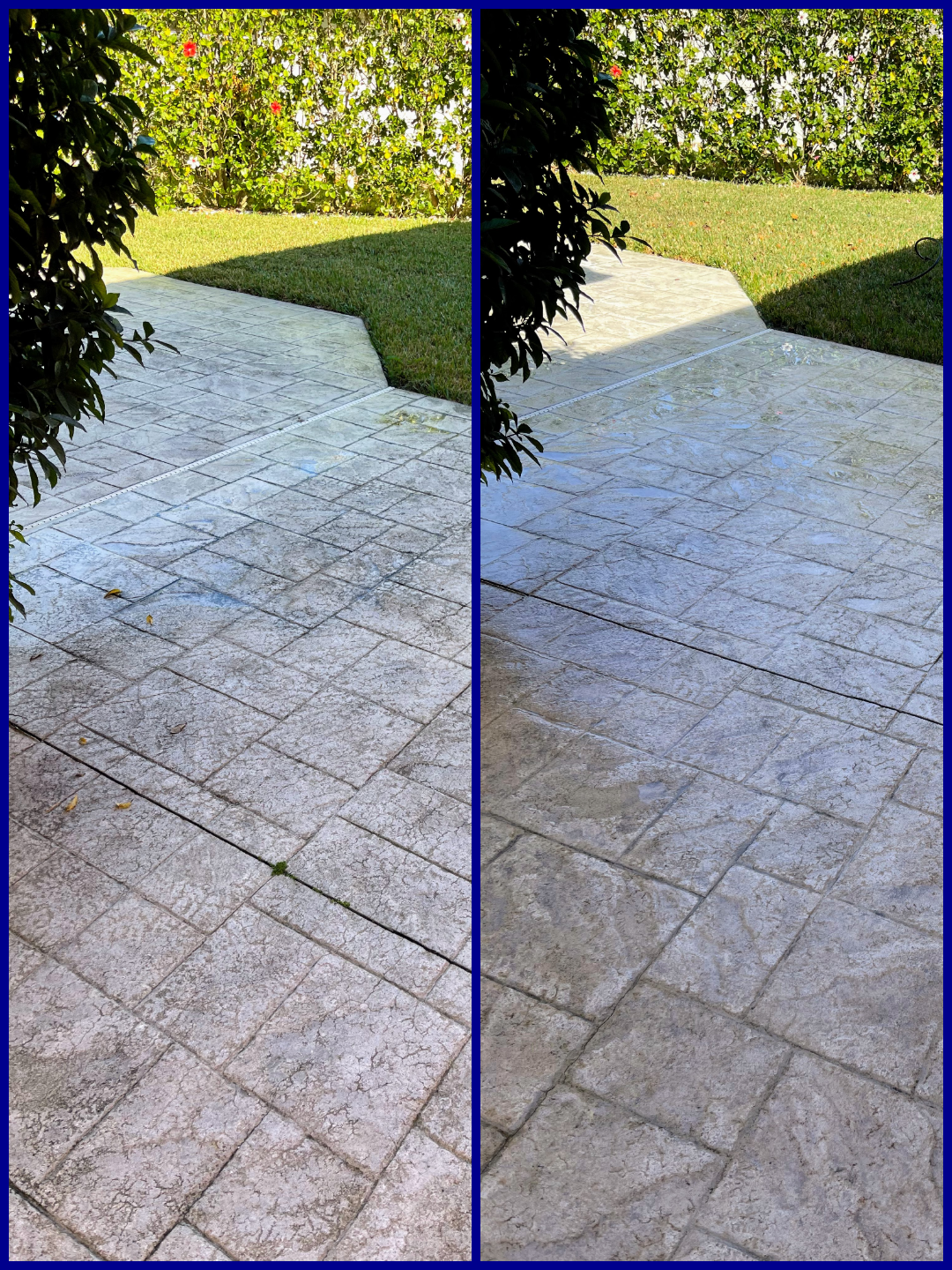 photo-collage.png (9).png