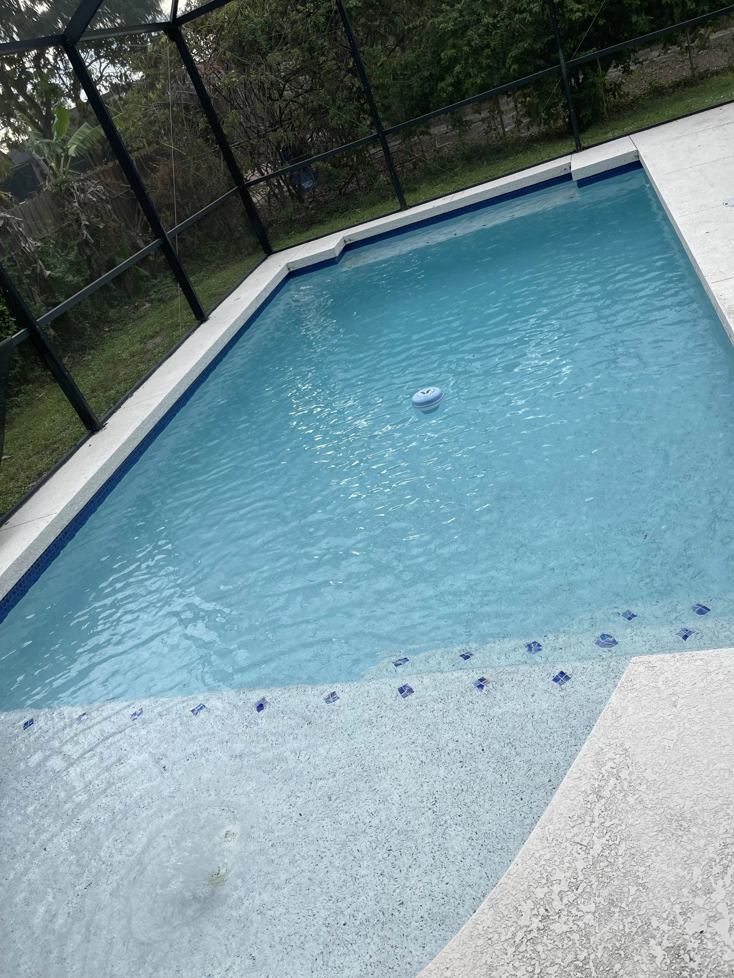 Empty blue swimming pool with a pool cleaning device floating on the surface, surrounded by a white textured pool deck and enclosed by a black screen enclosure, with greenery and trees in the background.