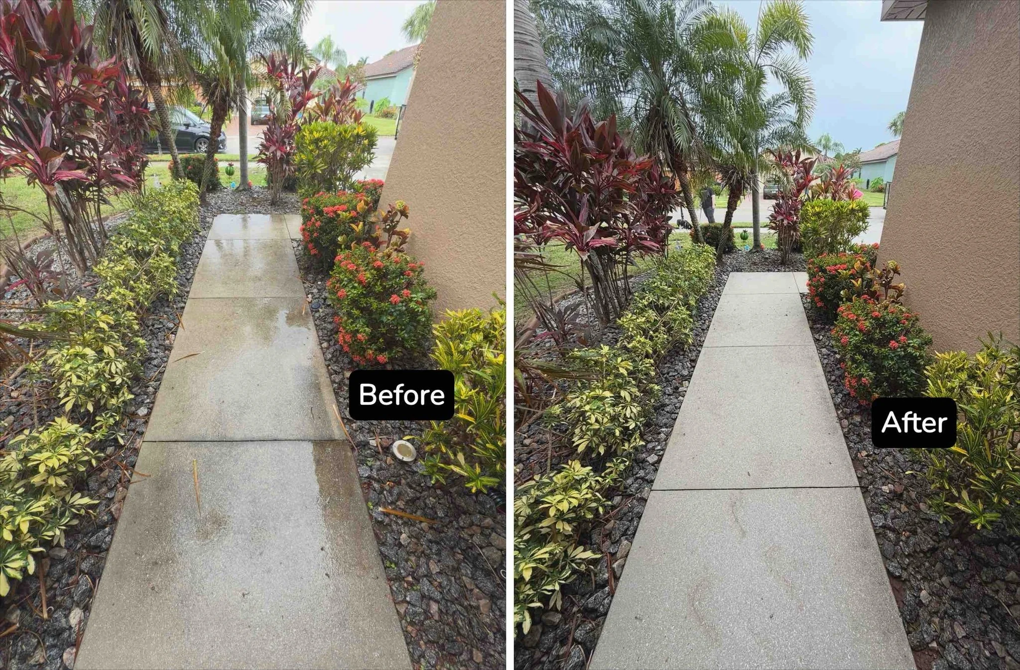 Side-by-side comparison of a wet outdoor concrete pathway with lush plants and trees on either side, showing before and after cleaning. The "Before" side has wet surface with visible dirt, while the "After" side shows dry, clean concrete.