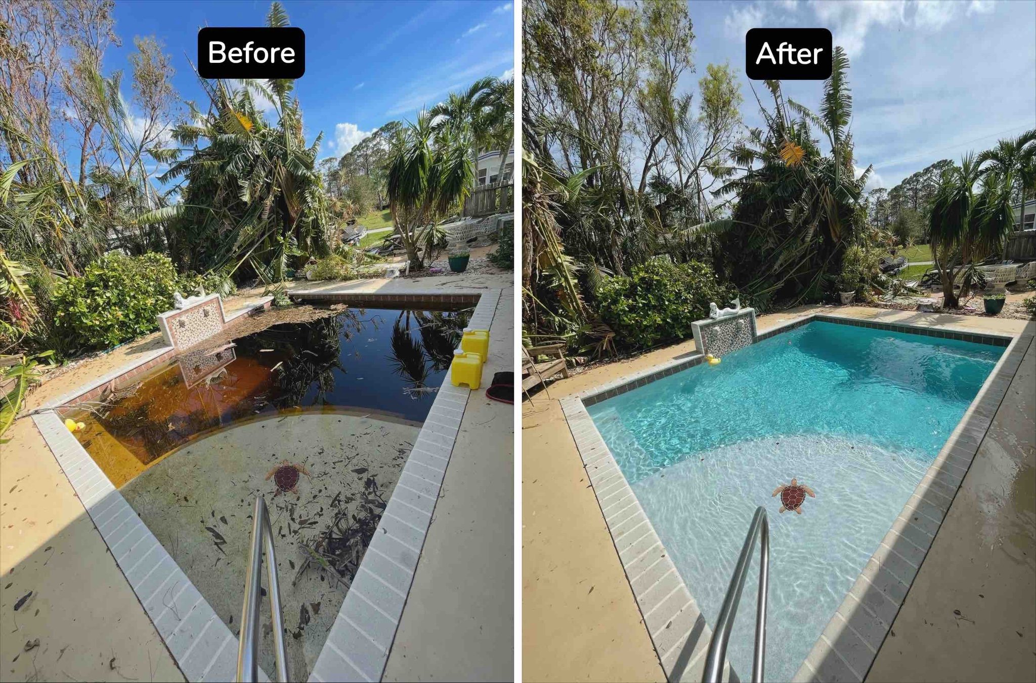 Side-by-side comparison of a backyard swimming pool before and after cleaning. The left side shows a pool with dirty black water, debris, and algae, while the right side displays a clean, clear, blue-tinted pool with clean water. The surrounding area