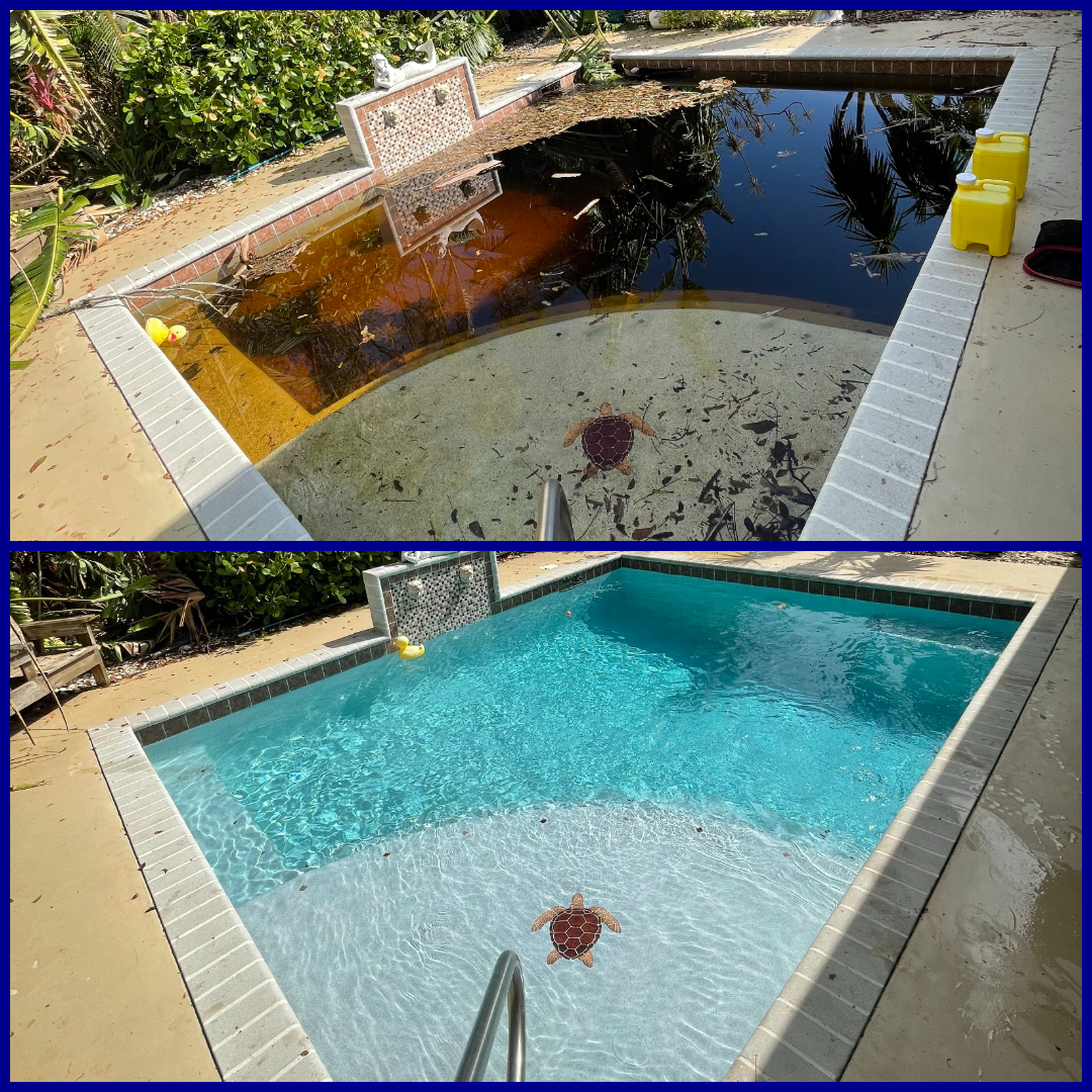 photo-collage.png (4).png