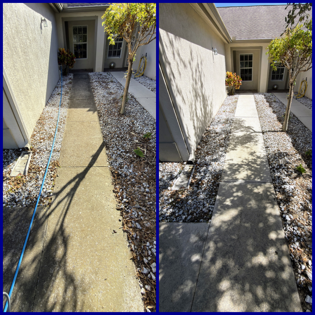 photo-collage.png (5).png