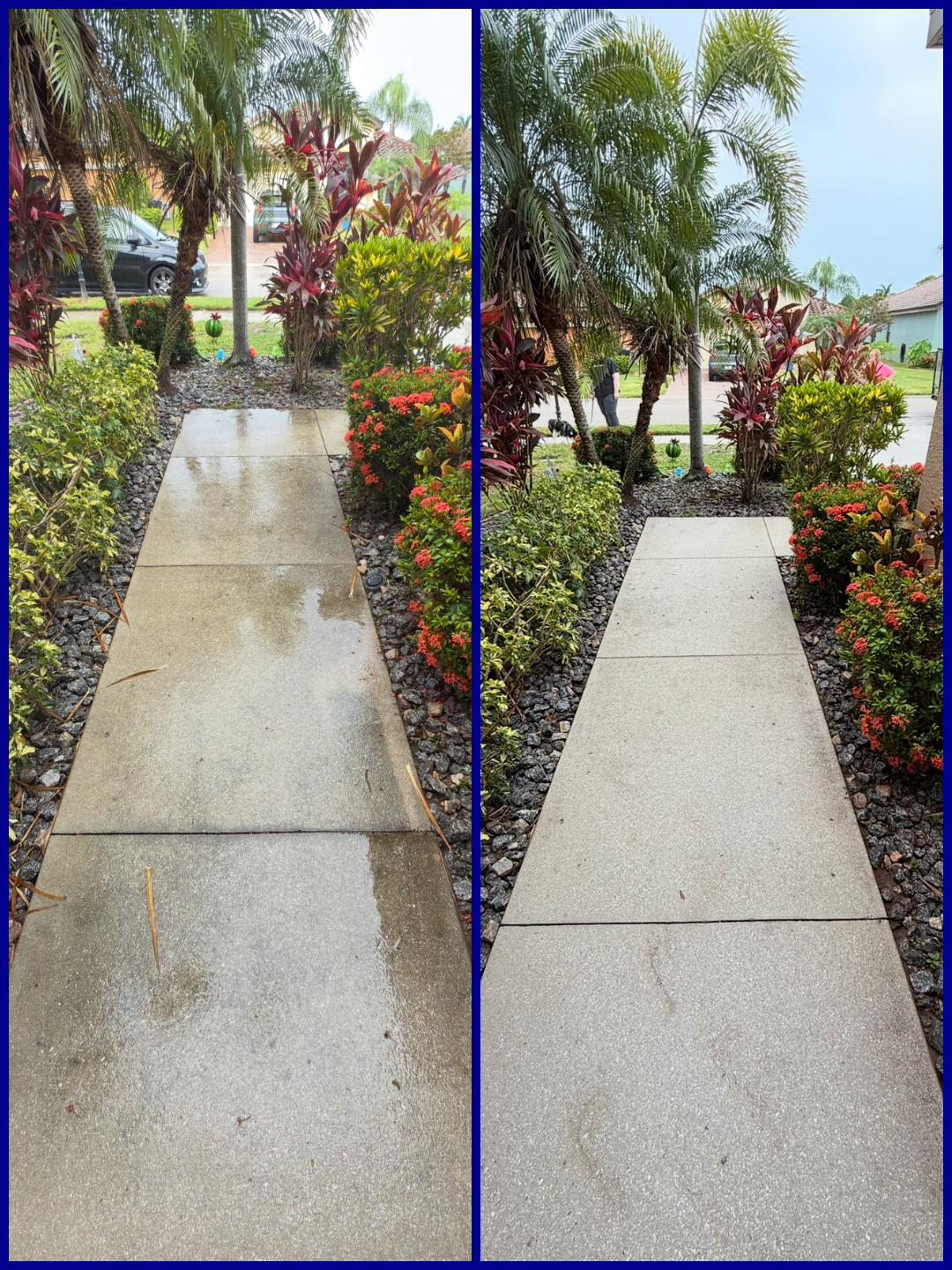 photo-collage.png (10).png