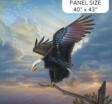 Winged Glory Panel DP25139-42