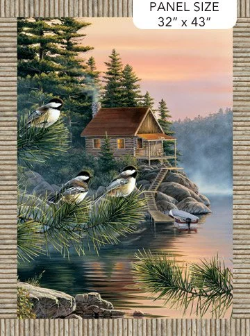 Cabin View Panel DP25115-14