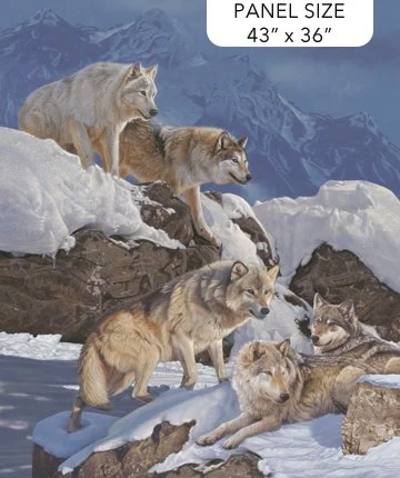 Winter Gathering Panel DP25526-44