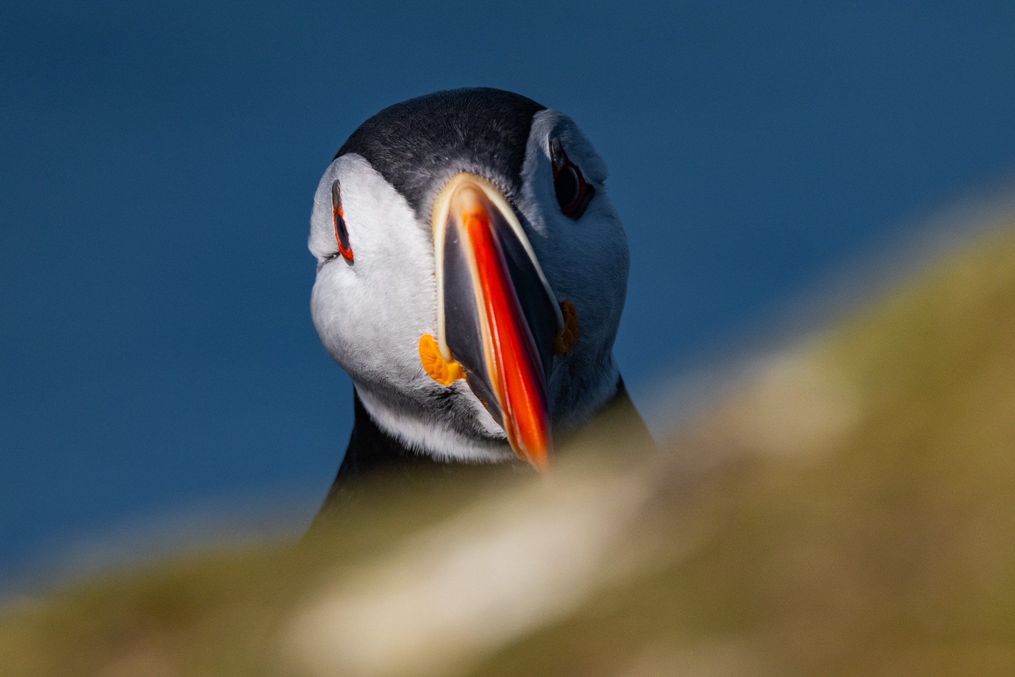 Rauðanes Photography