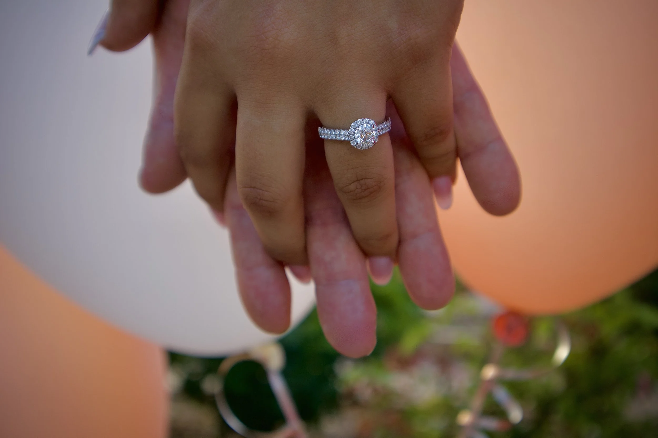 Proposal, Couples Photography, Engagement - Mary & Chris