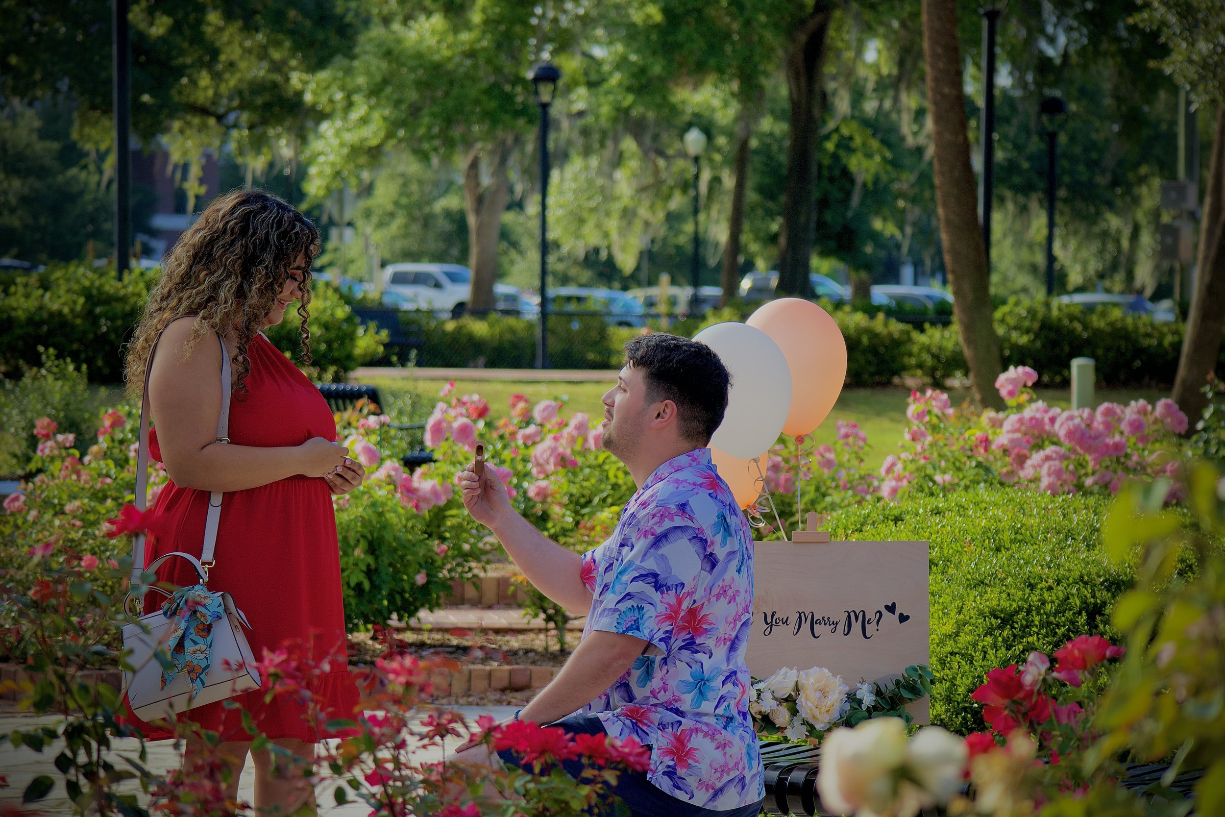 Proposal, Couples Photography, Engagement - Mary & Chris