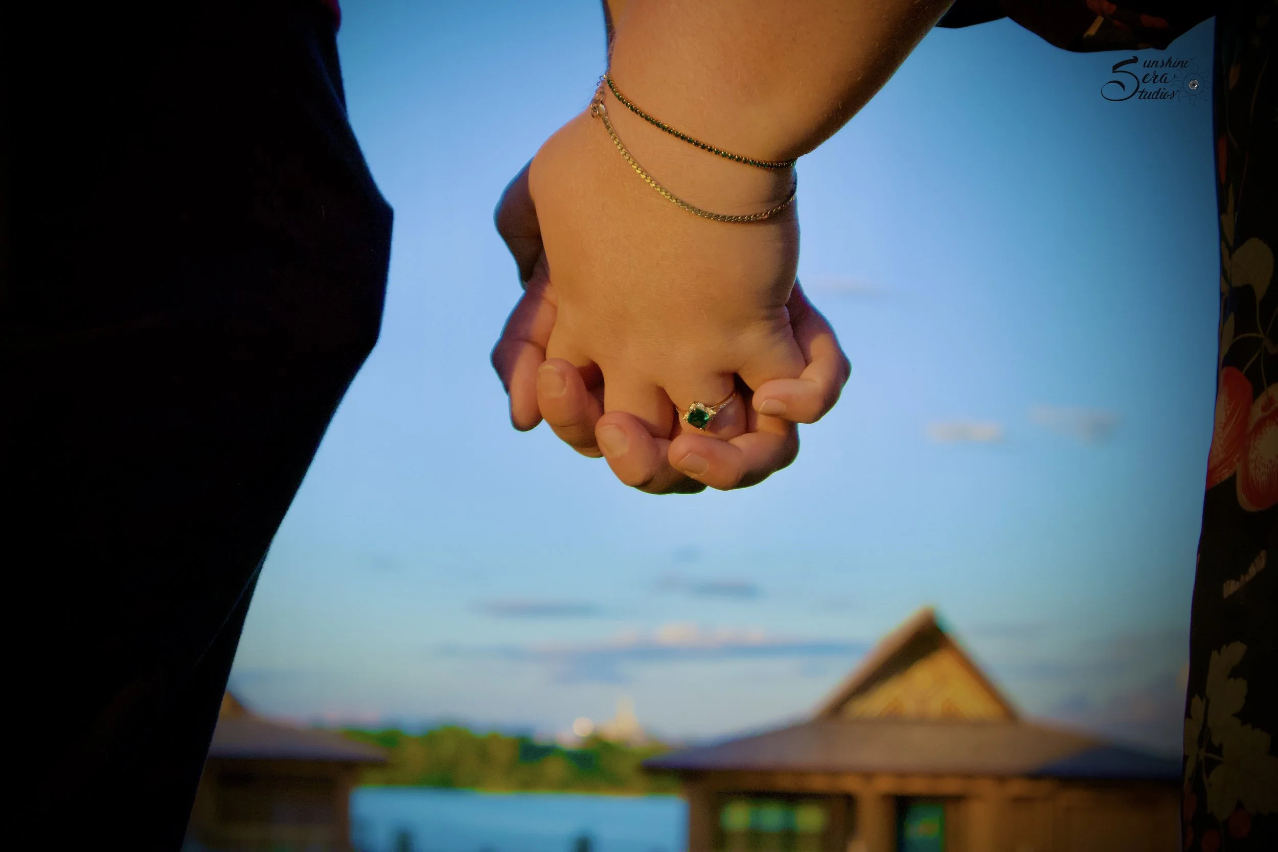 Proposal, Couples Photography, Engagement - Derek & Grady