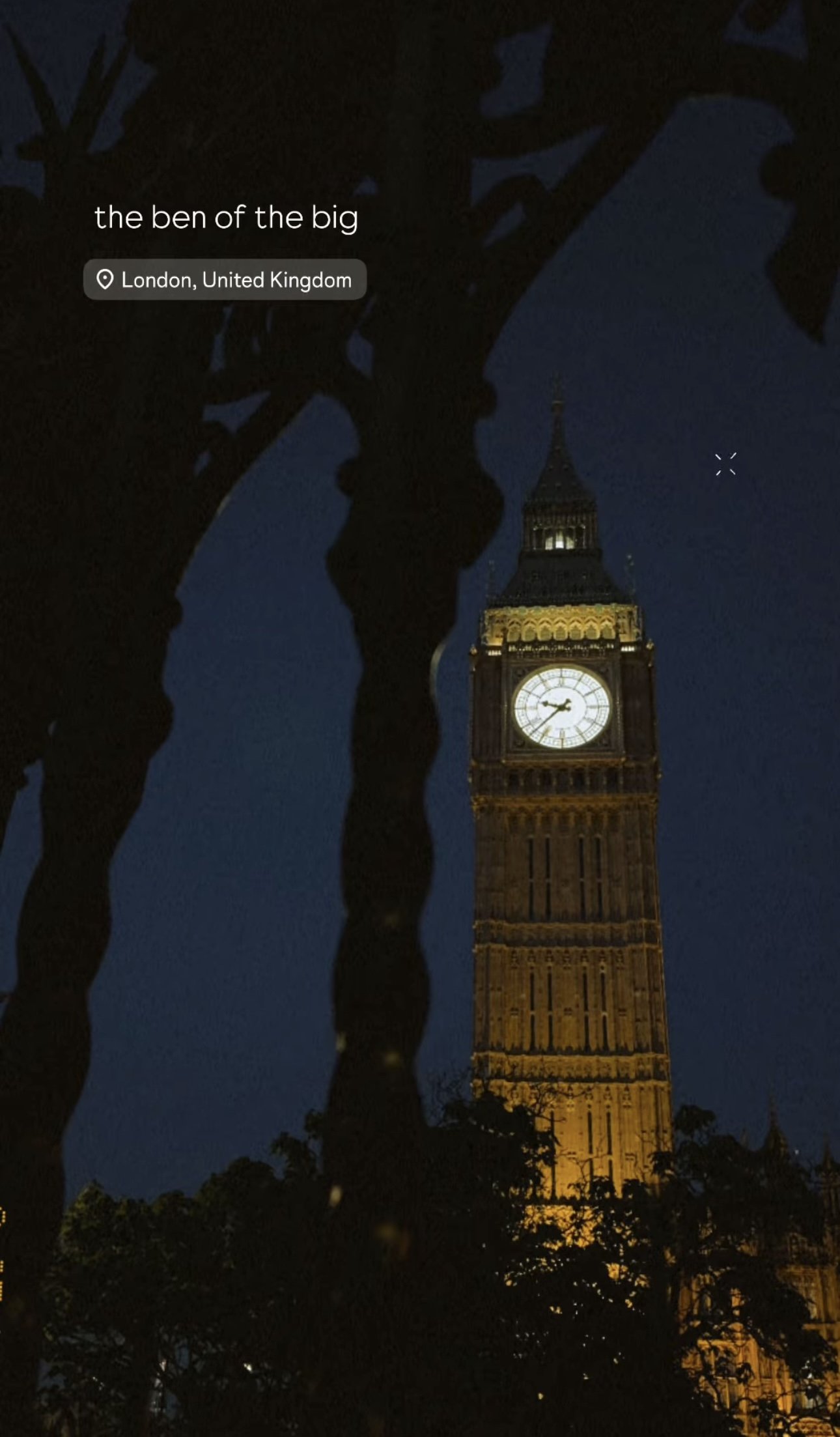 Nighttime view of London's Big Ben clock tower with silhouetted leaves and a partially visible dark sky.