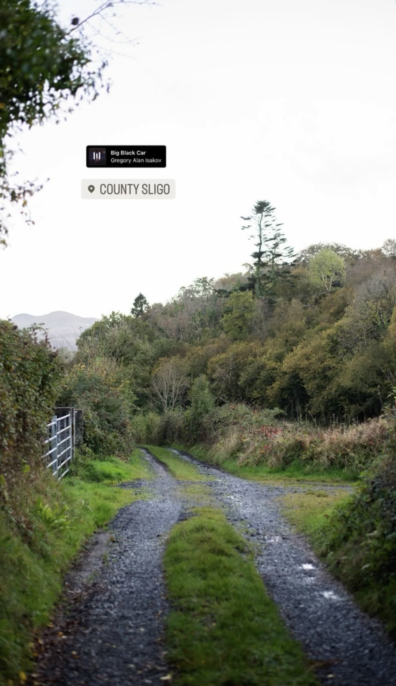Gravel dirt road through a rural, wooded landscape with green grass on either side and trees in the distance, under a bright sky.