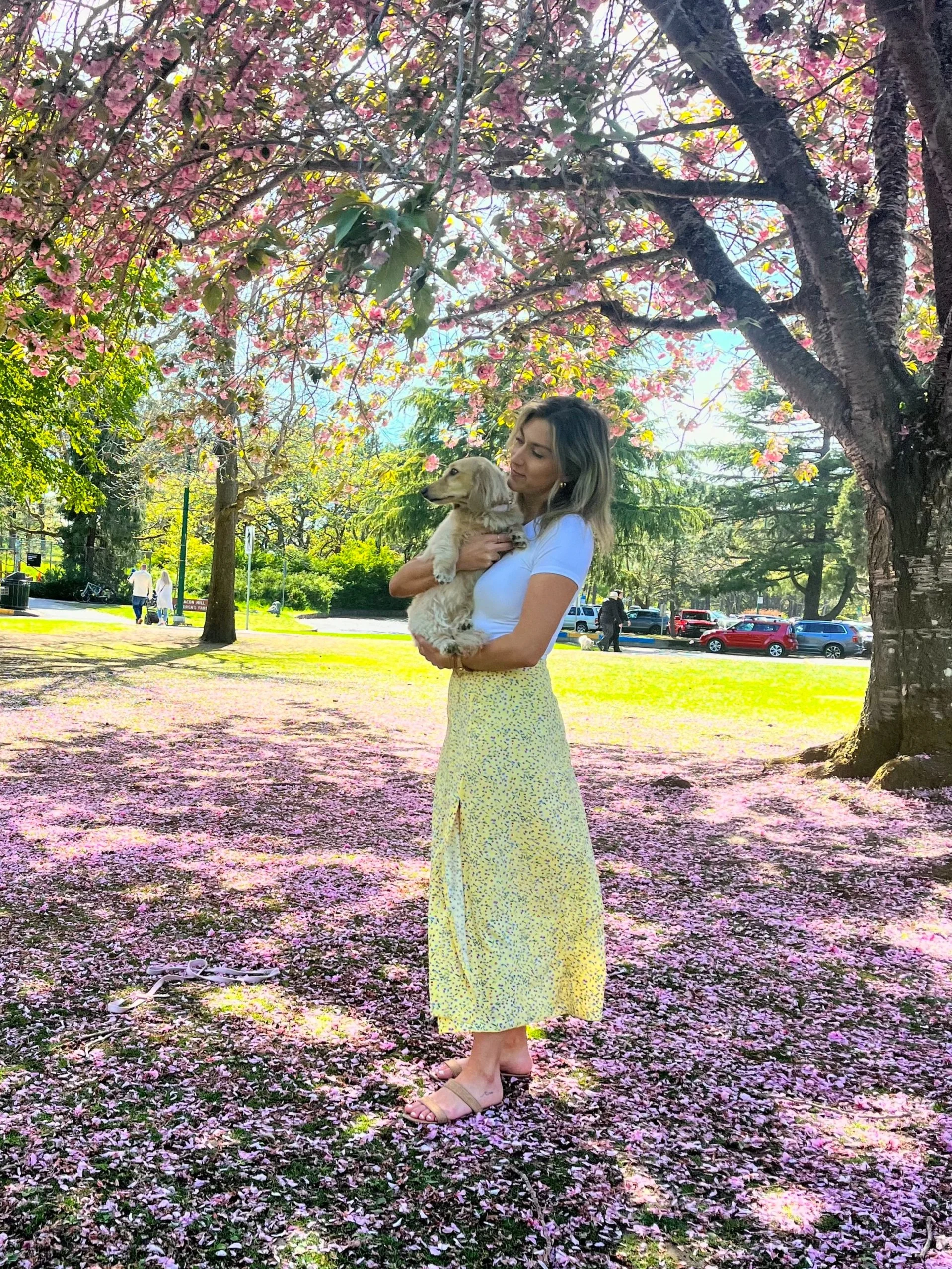 A woman with blond hair wearing a white top and yellow patterned skirt holding a small dog stands under a blooming pink cherry blossom tree in a park on a sunny day.