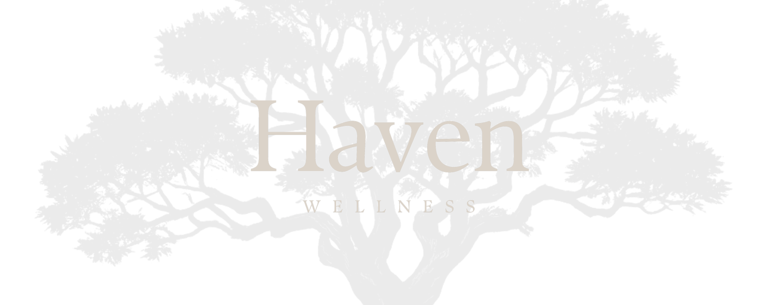Haven Wellness logo with white text on a black background and a subtle starry pattern.
