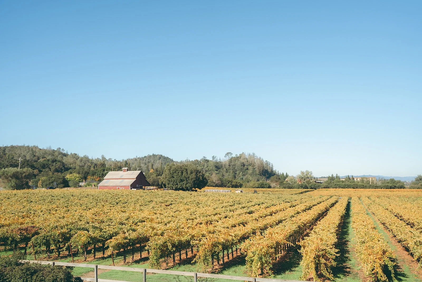 20251101-1001 copy.jpg