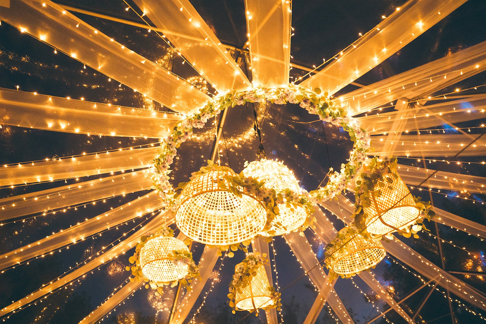 20251101-1867 copy.jpg