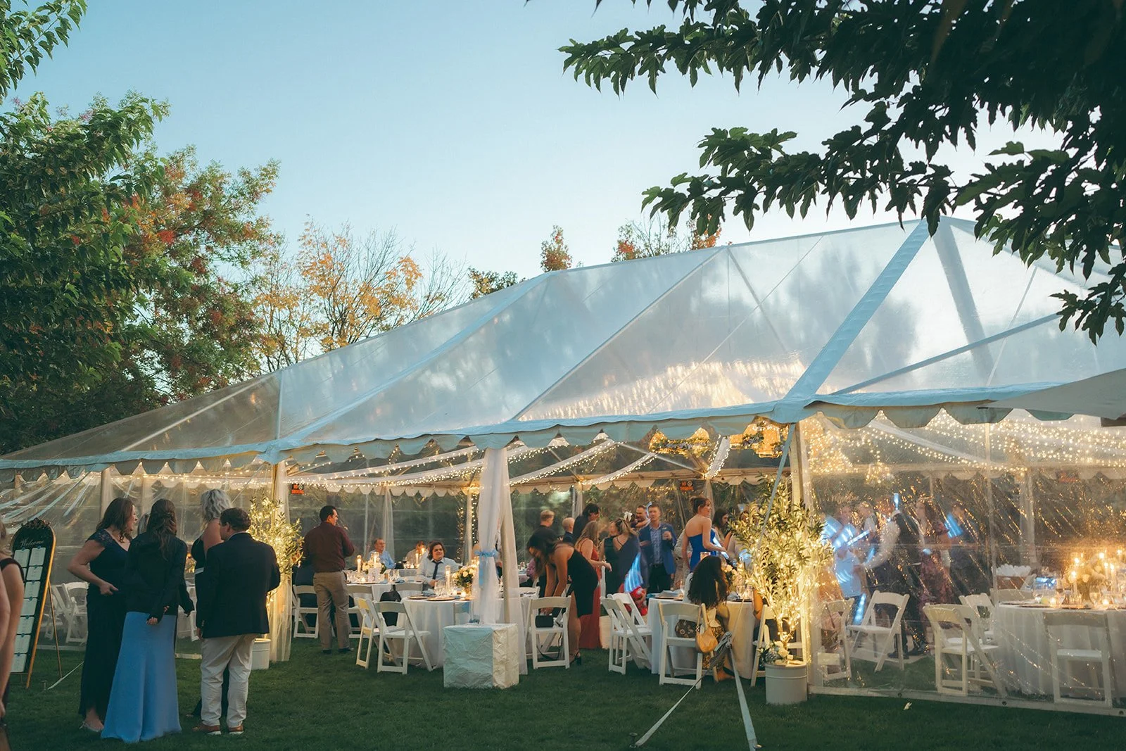 20251101-1823 copy.jpg