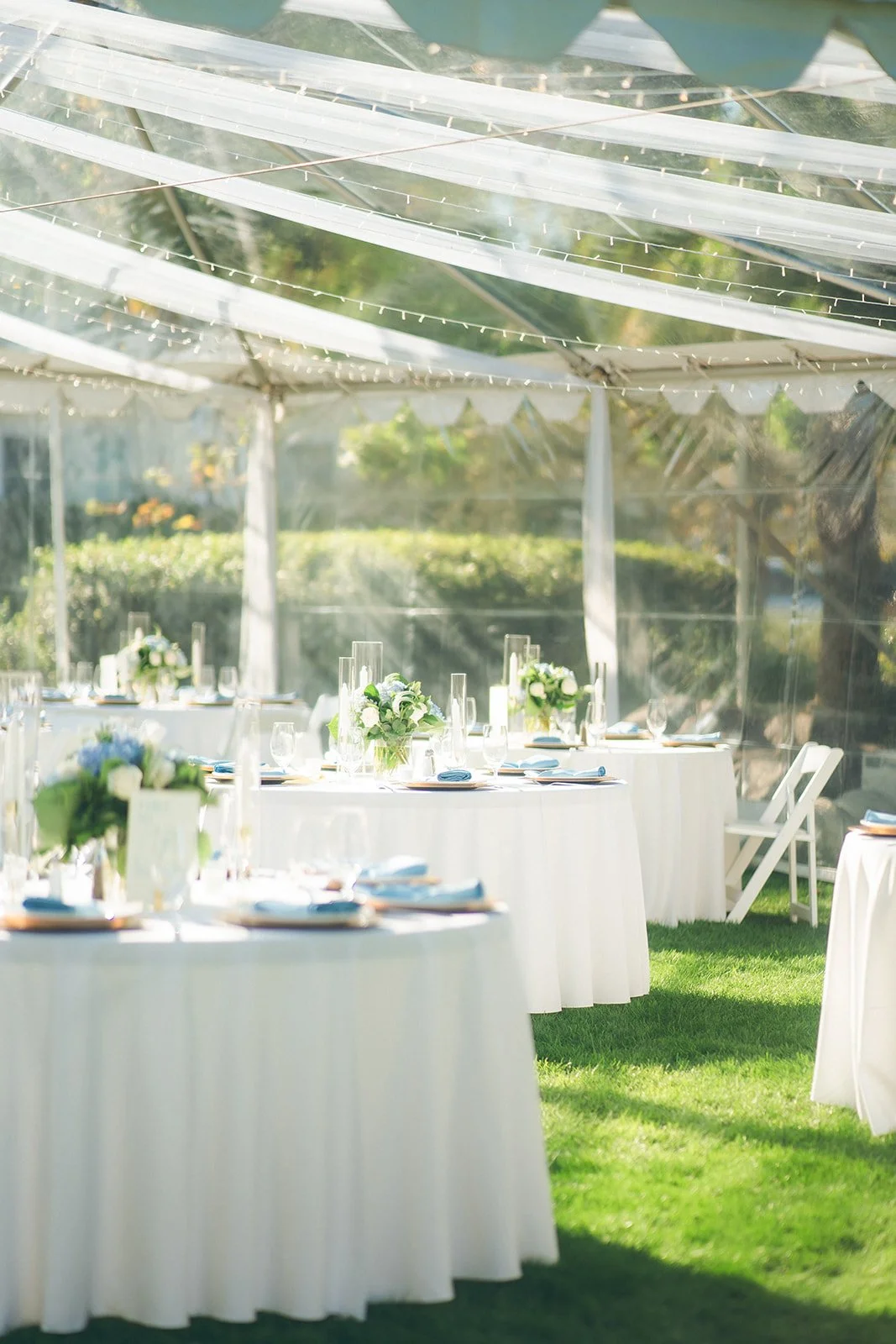 20251101-1239 copy.jpg