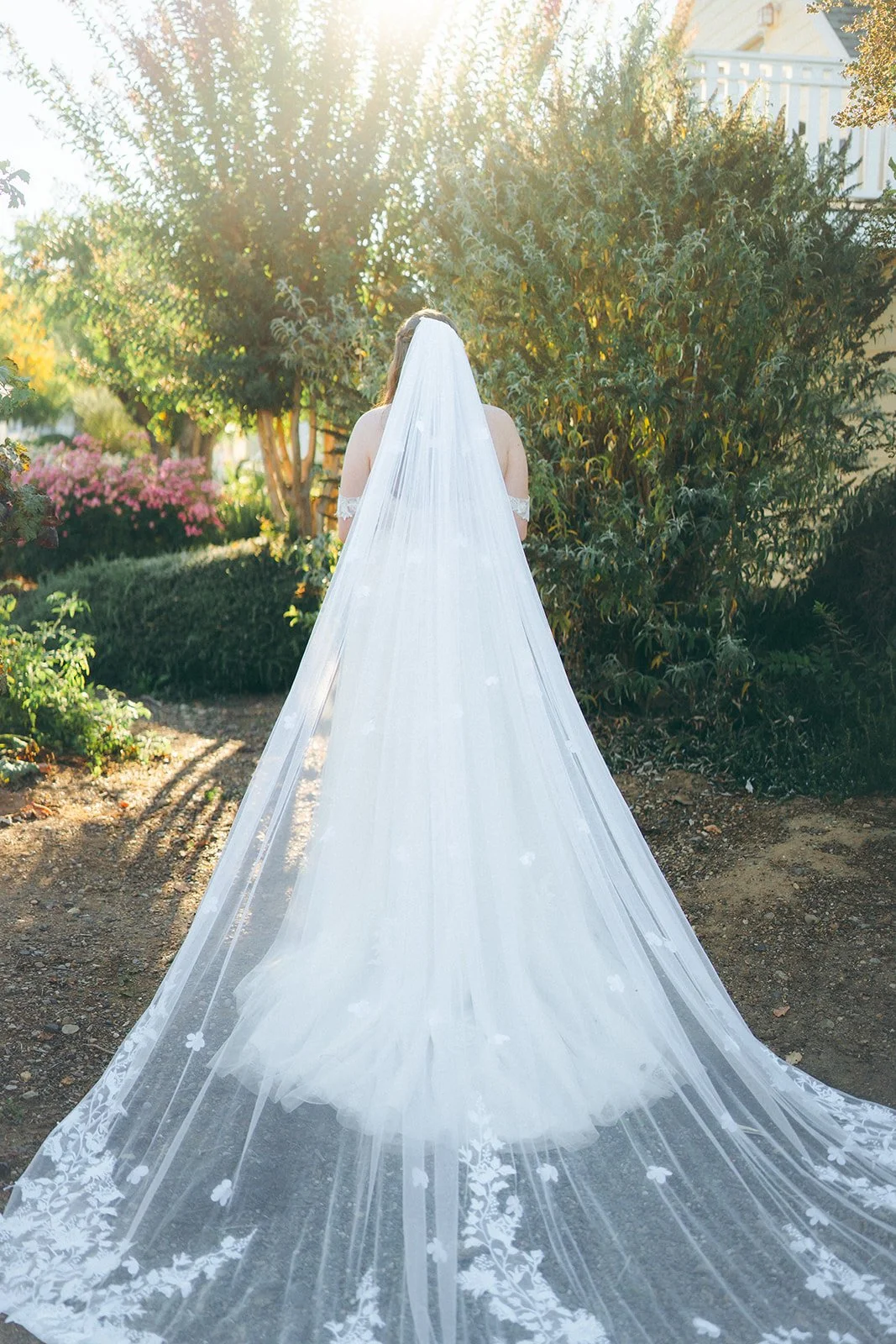 20251101-1548 copy.jpg