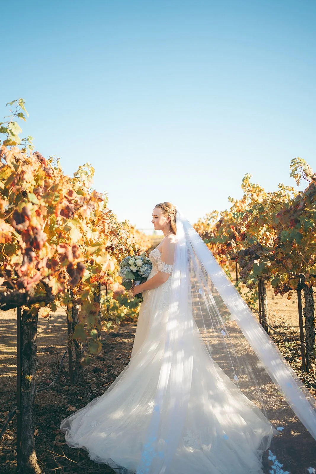 20251101-1501 copy.jpg