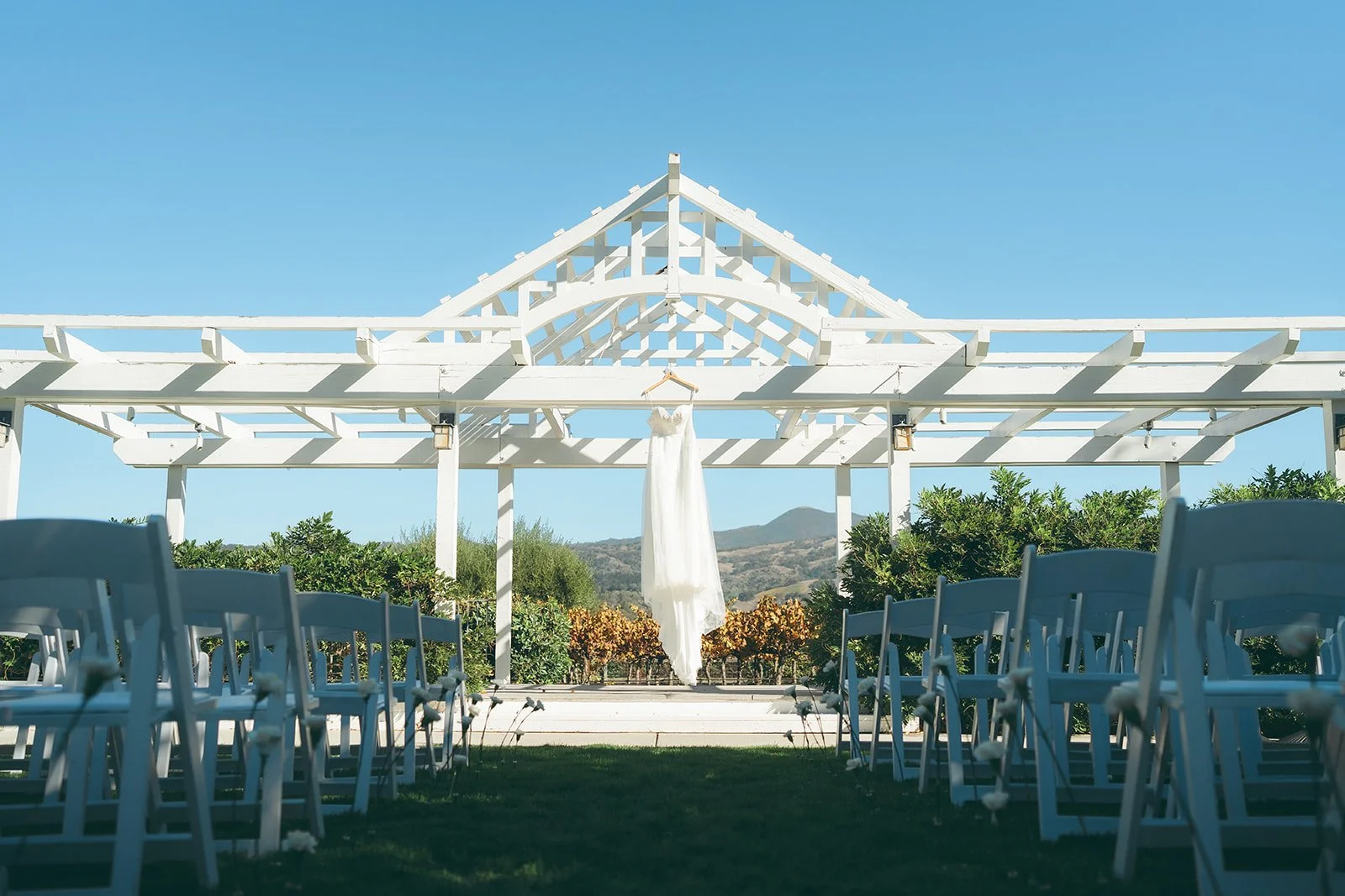 20251101-1025 copy.jpg