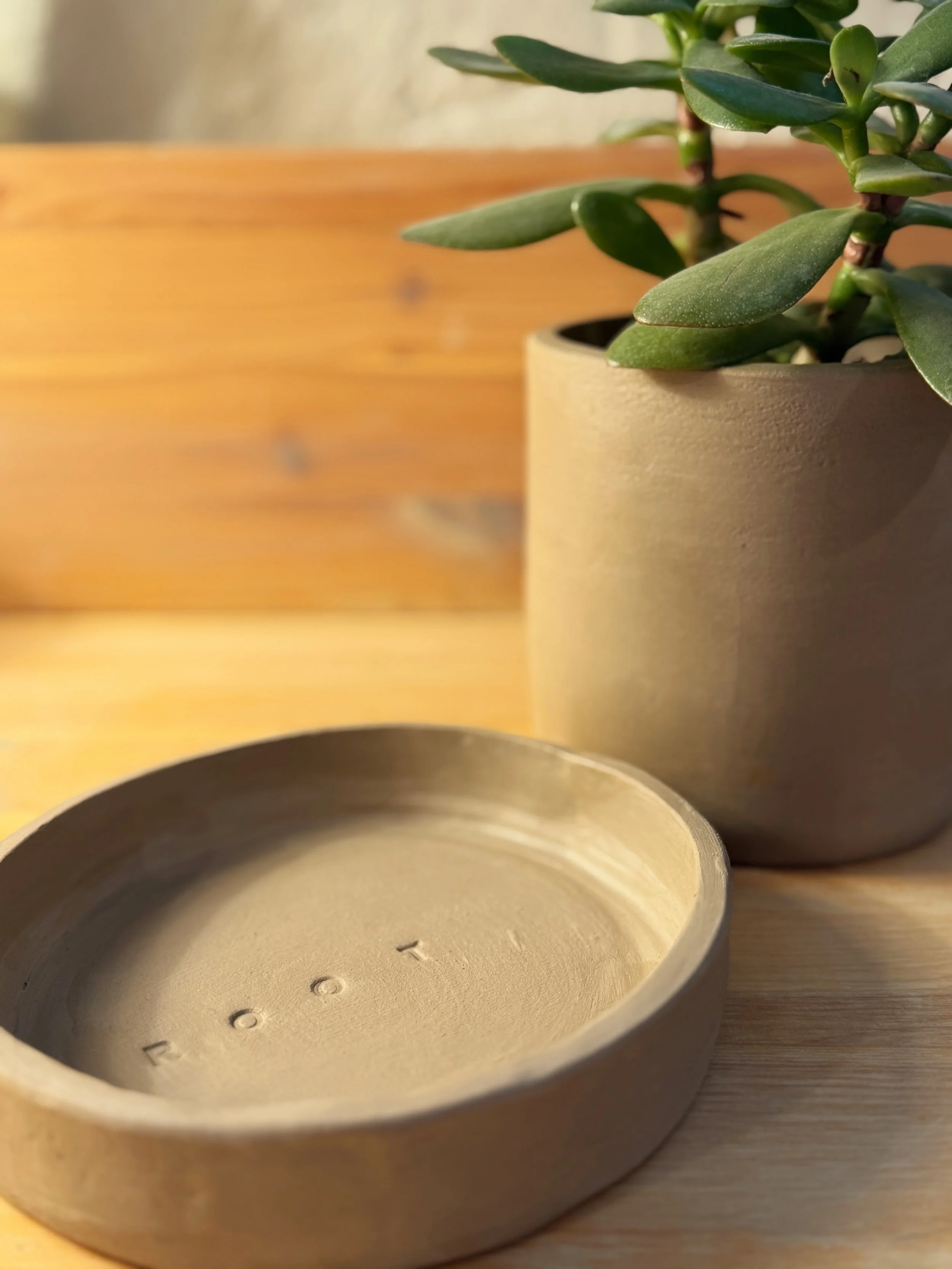 ROOT. The Plant Vessel Workshop