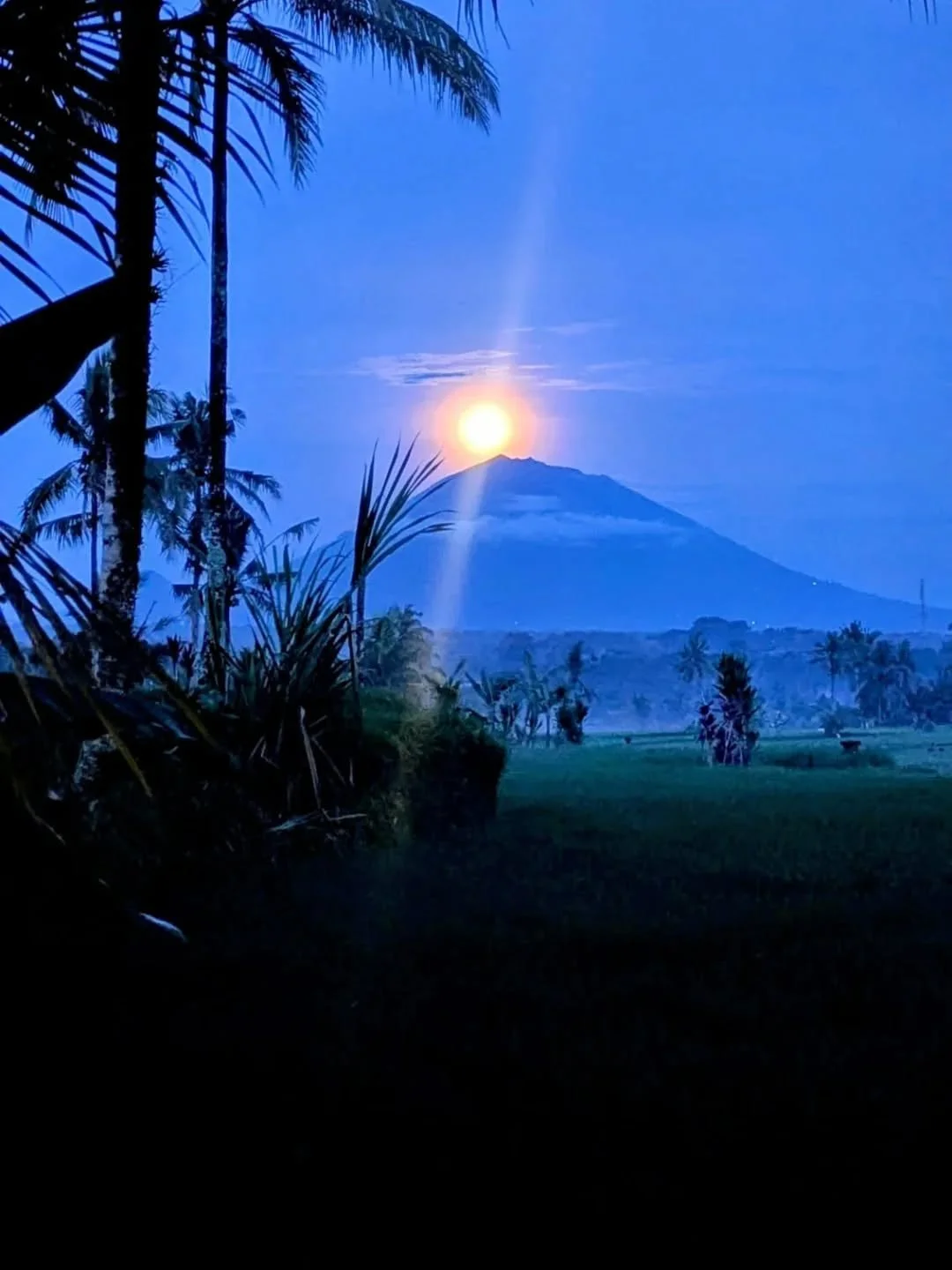Community event - thanks to all who joined us last week for &nbsp;Melukat- a sacred purification ritual performed on the full moon  to cleanse the body, mind, and soul of negative energy.

Bring on those positive vibes 💚