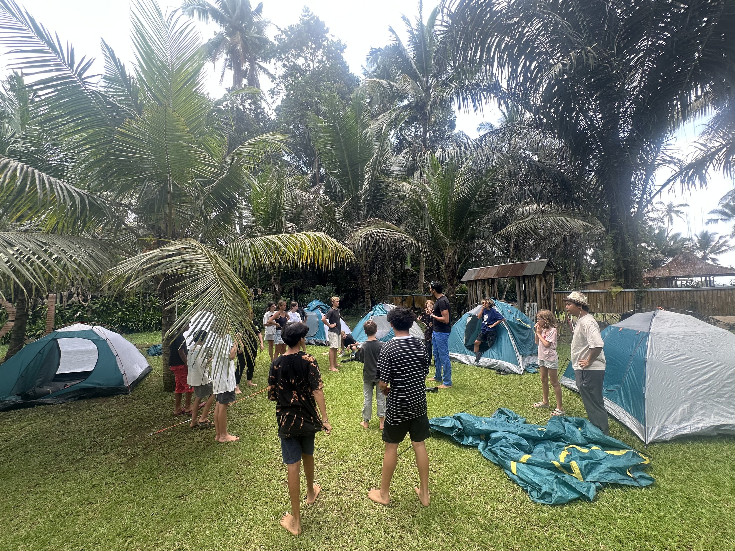 A group of people camping in a tropical environment with tall palm trees and lush greenery, setting up tents and preparing for outdoor activities.