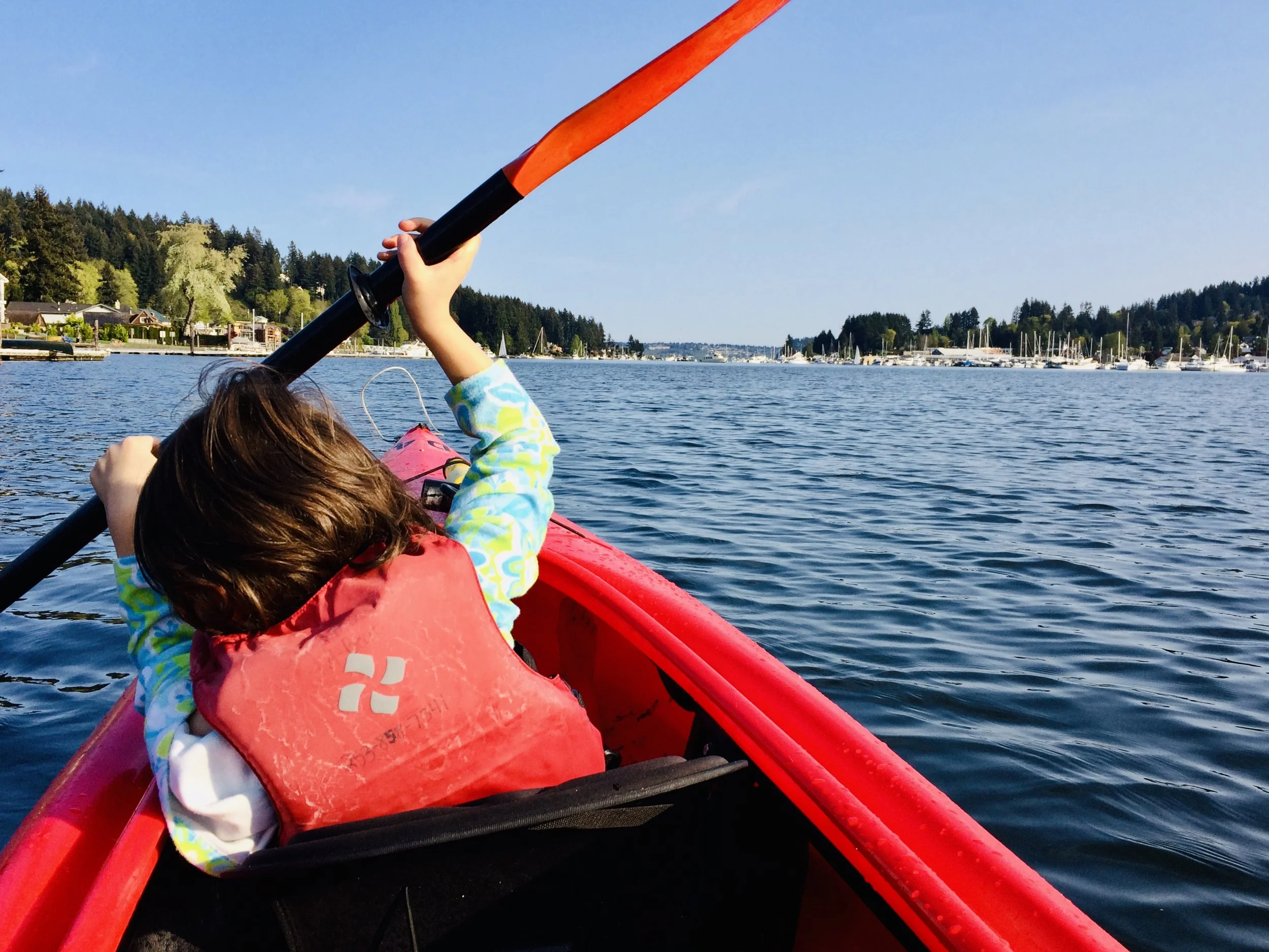 Dream to Dock