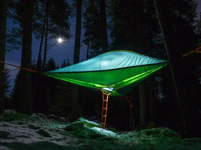 Shelter (part one); Survival, sense of place + social status