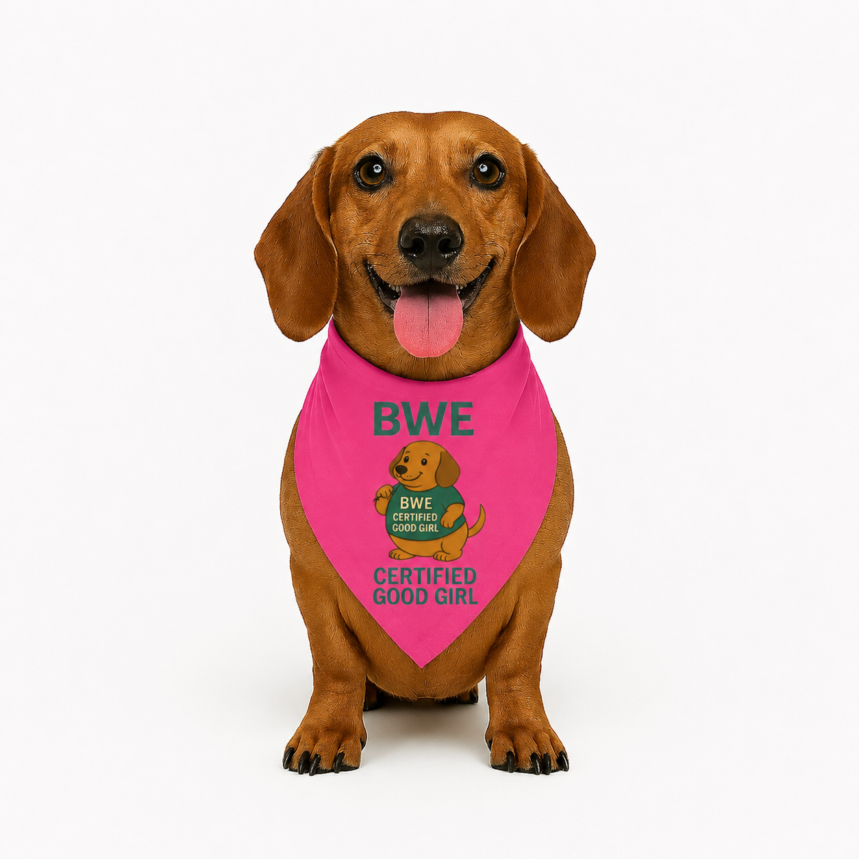 Certified Good Girl Doxie Bandana