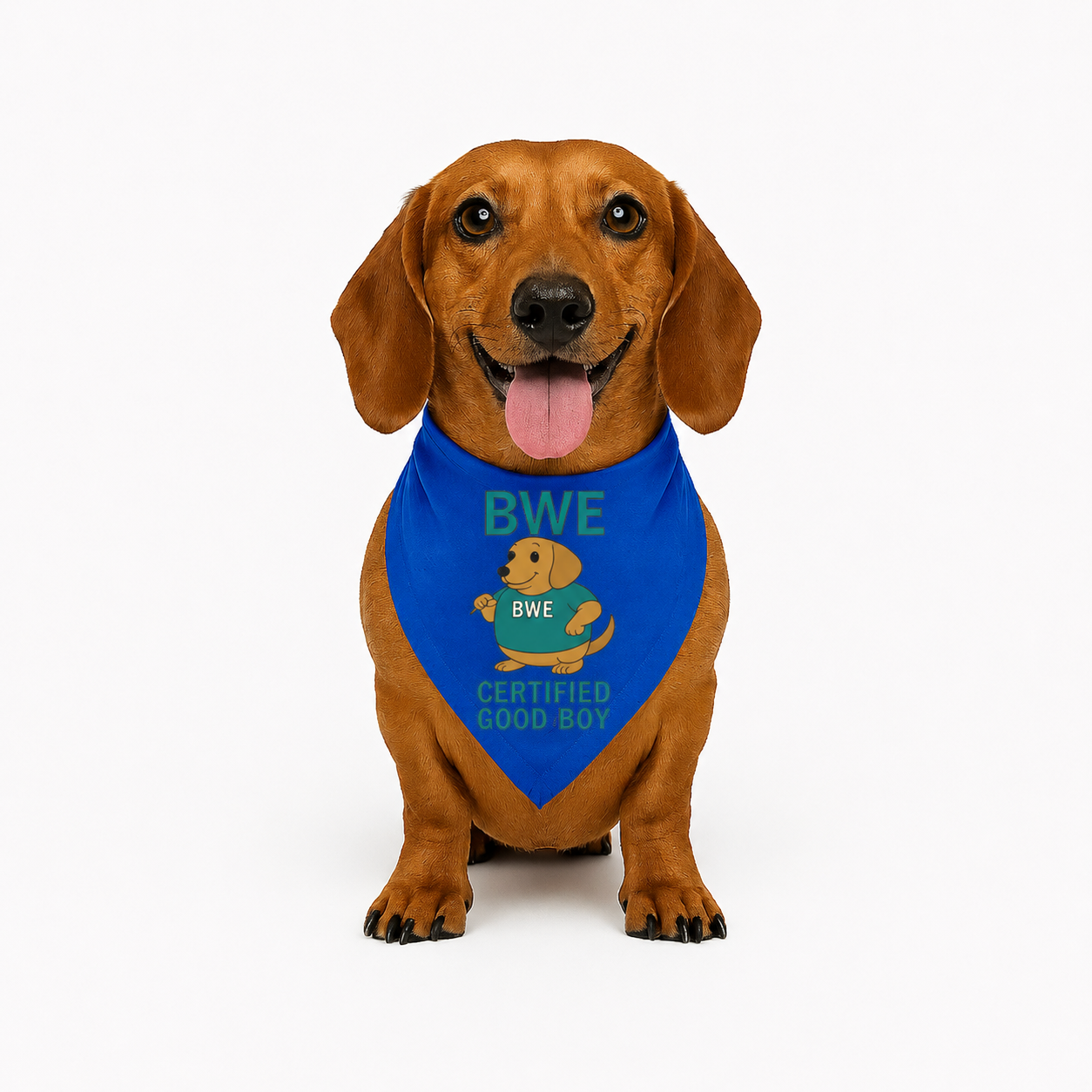 Certified Good Boy Doxie Bandana