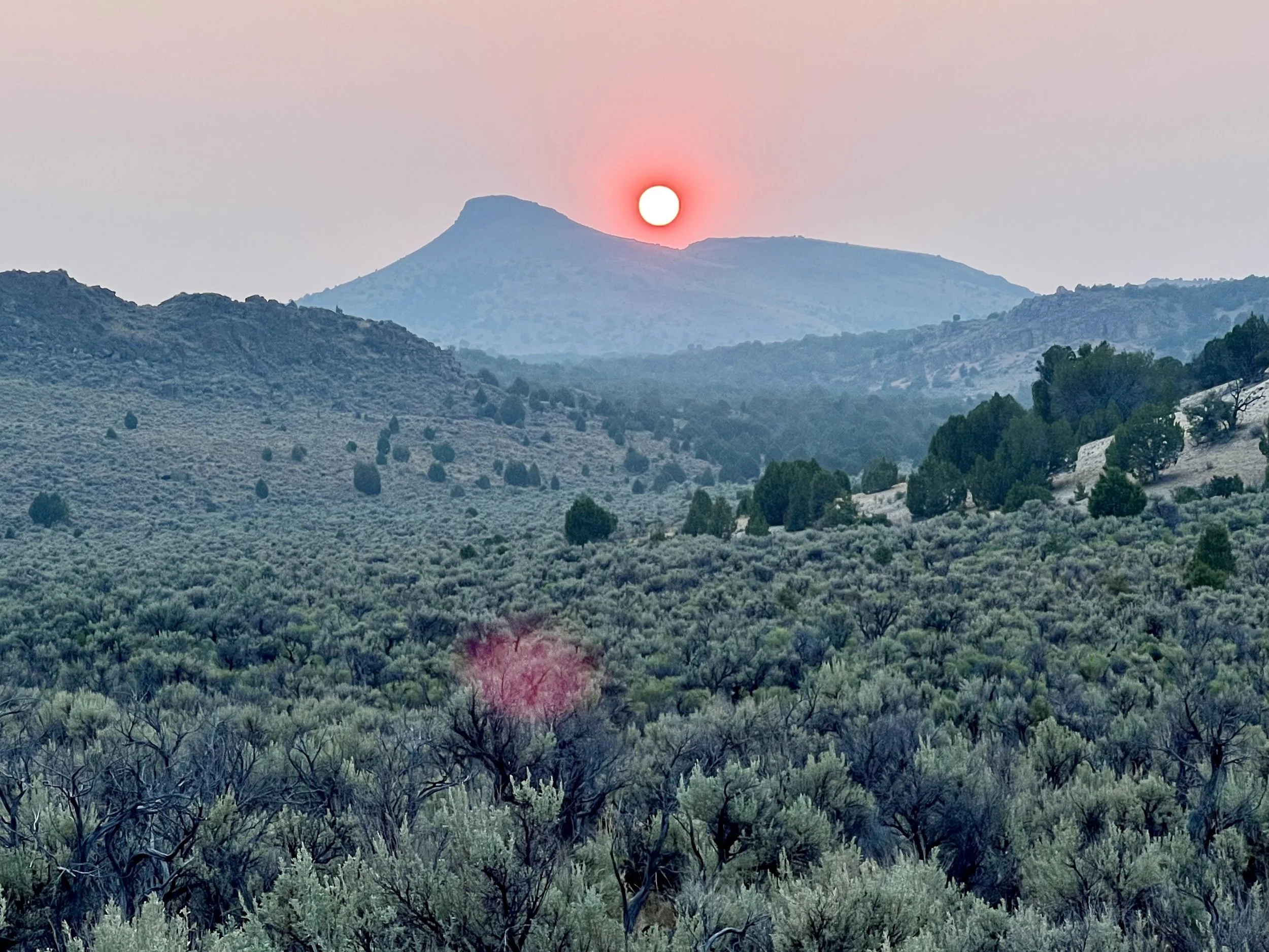 Sun setting behind a mountain range at the Nevada North Lithium Project with sagebrush and trees in the foreground. The Sun is red because of the smoke in the air from a nearby forest fire