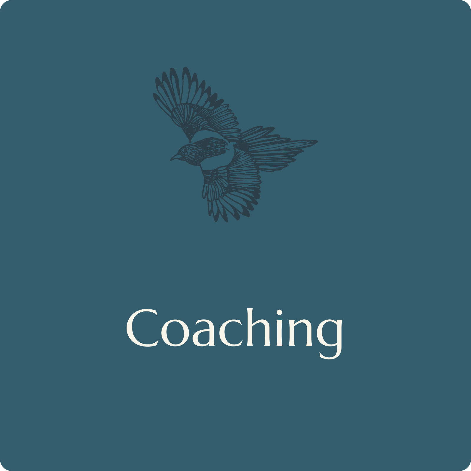 1:1 Coaching