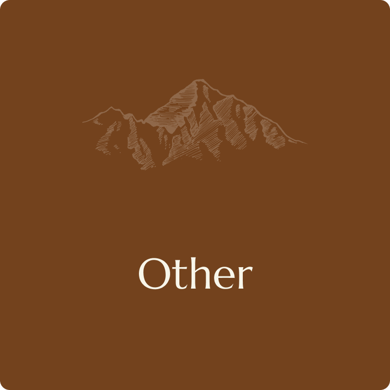 Fall Equinox Poetry and Yoga One day retreat
