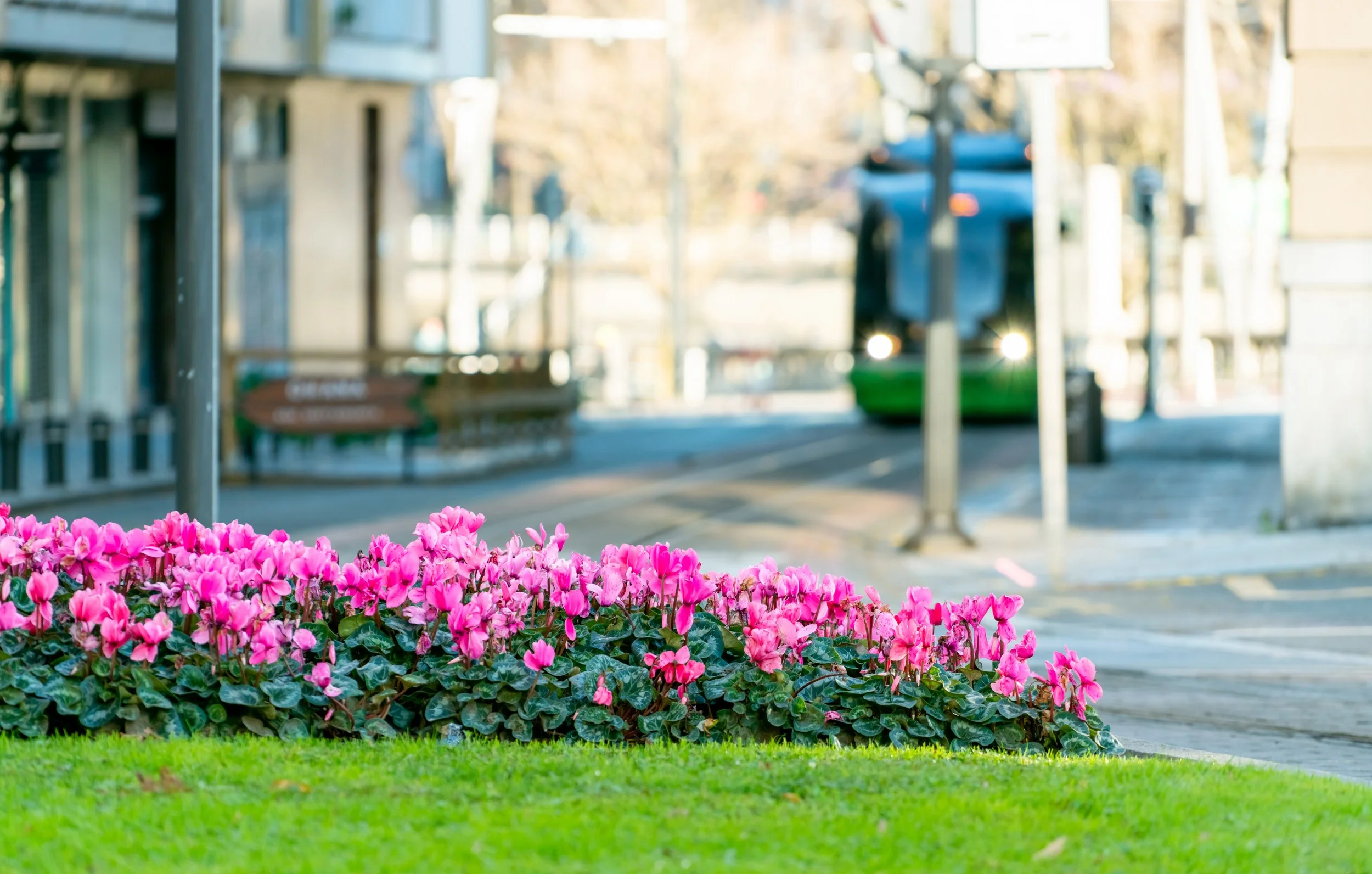 Professional Landscaping for Business Parks